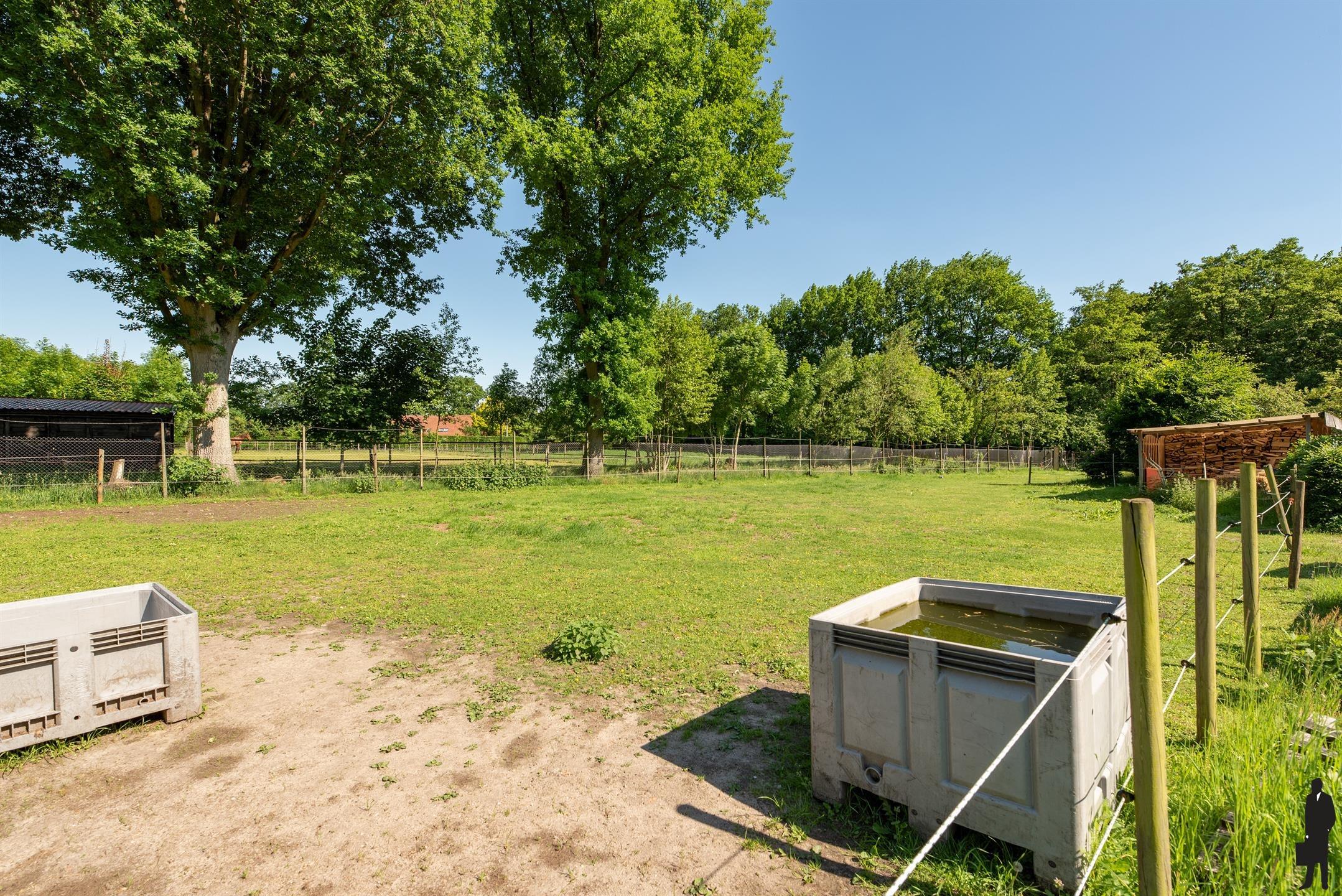 Luxe kangoeroe-villa te Sint-Job met paardenacc. op ca. 1,2 HA! foto 60