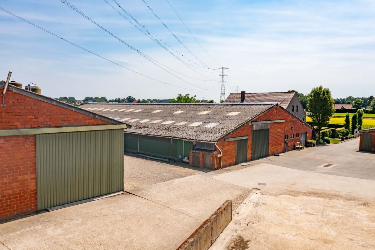 Hoeve met gronden te koop te Kinrooi foto 11