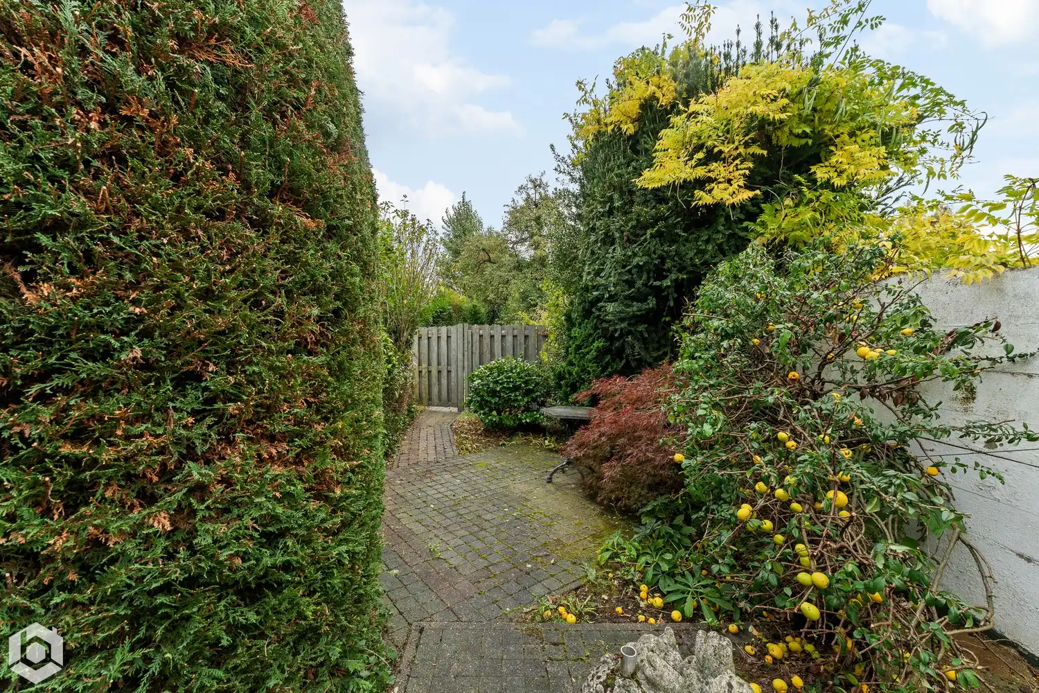 Te renoveren woning met 3 slpkrs, 2 garages en tuin in Mechelen foto 22