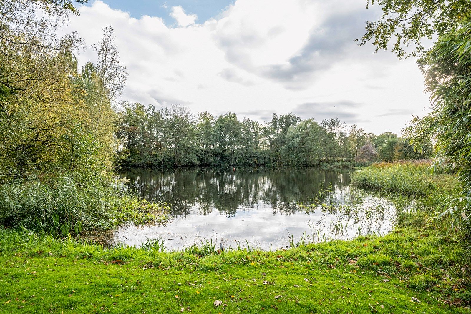 Uniek domein met zeer ruim pand temidden van de natuur  foto 43