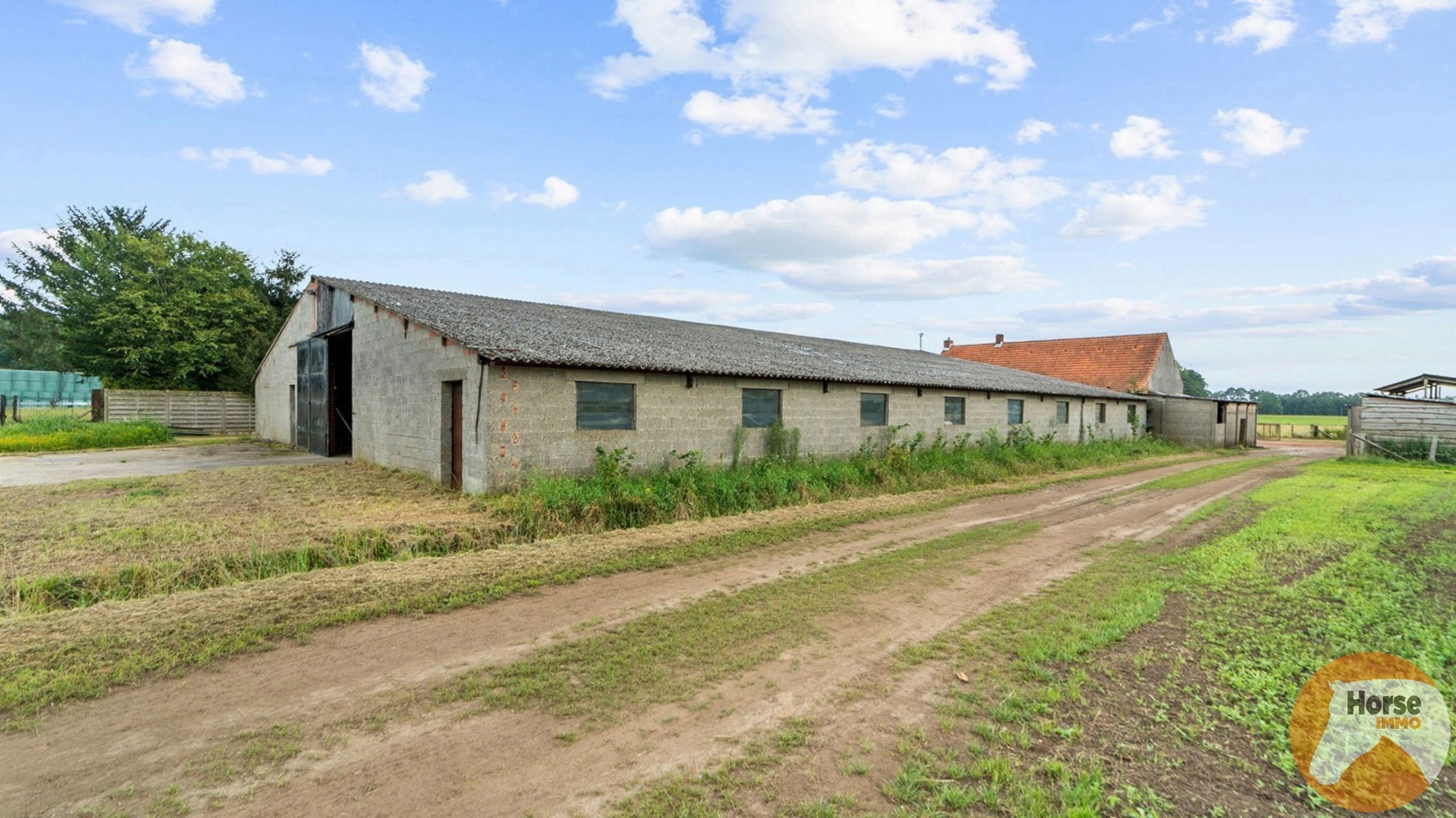 HEIST-OP-DEN-BERG - Te renoveren landbouwwoning met loods op 2,3 Ha foto 13