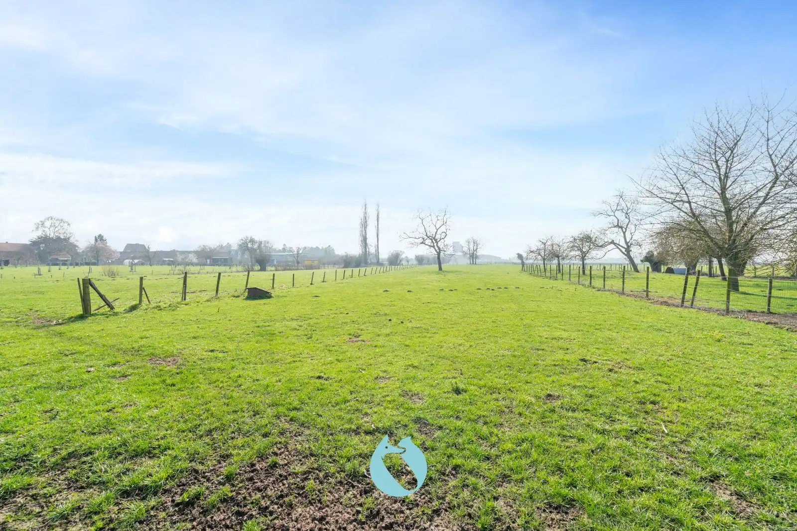 Te renoveren hoeve op unieke ligging (perceel 19.617m²) foto 10