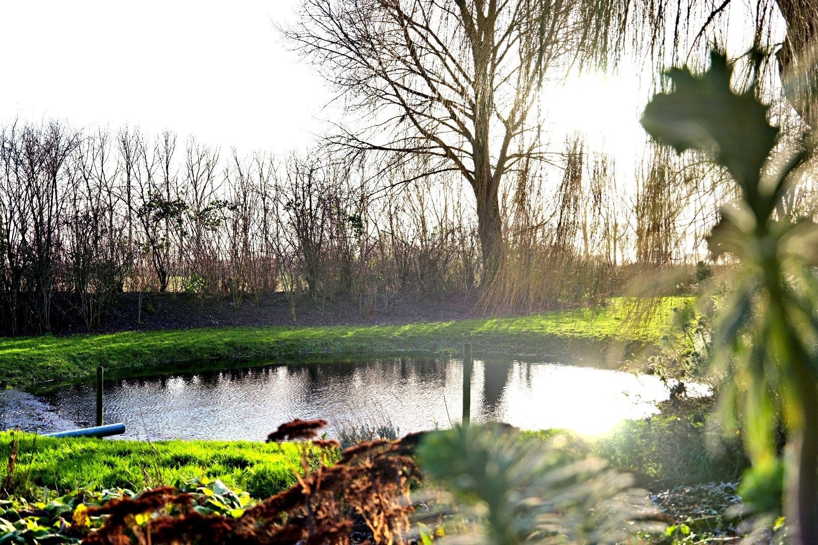 Woonboerderij met boerderijwoning en woonschuur foto 18