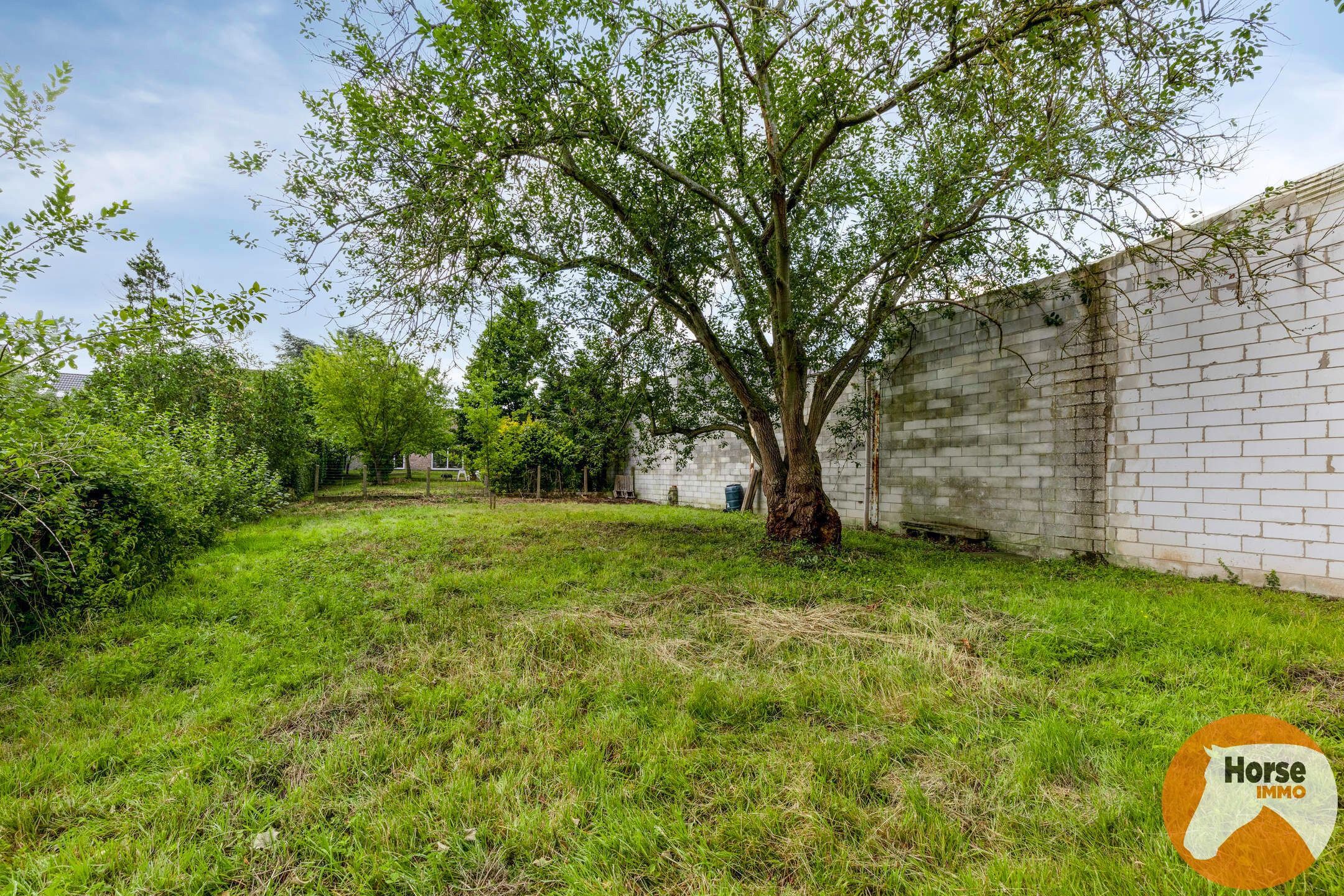 BURST - Instapklare woning met bijgebouw en ruime tuin/weide foto 25