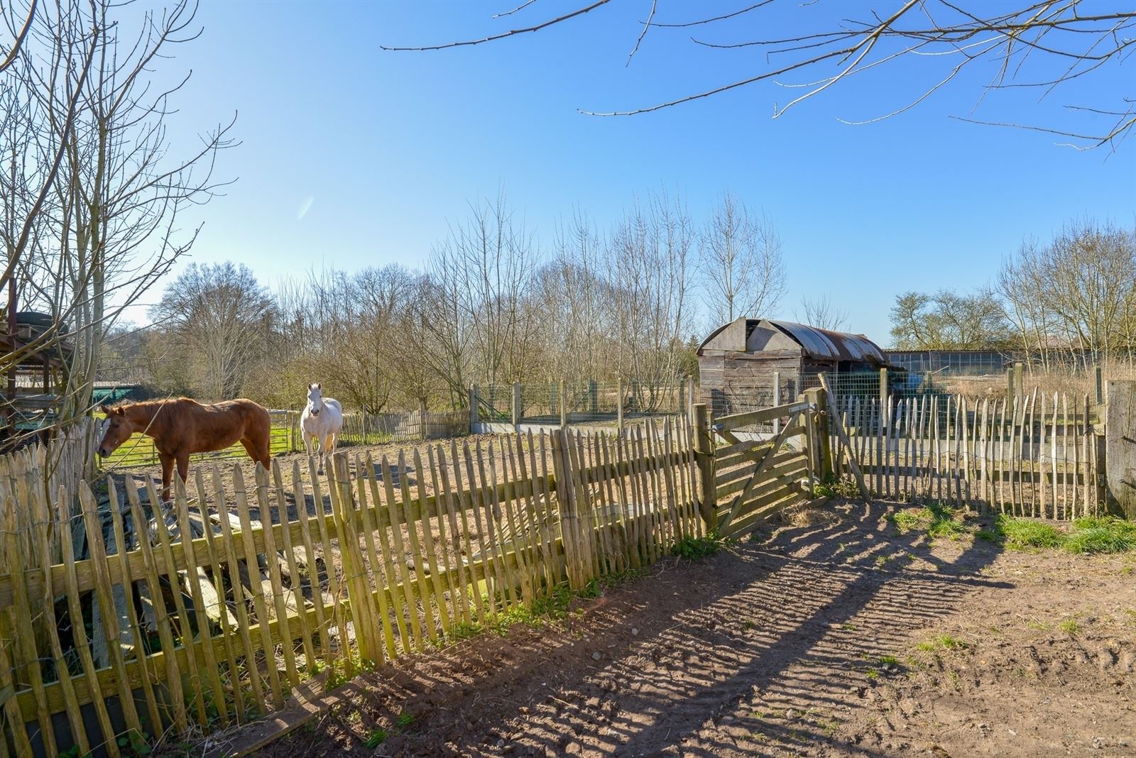 Charmante hoeve met tal van mogelijkheden! foto {{pictureIndex}}