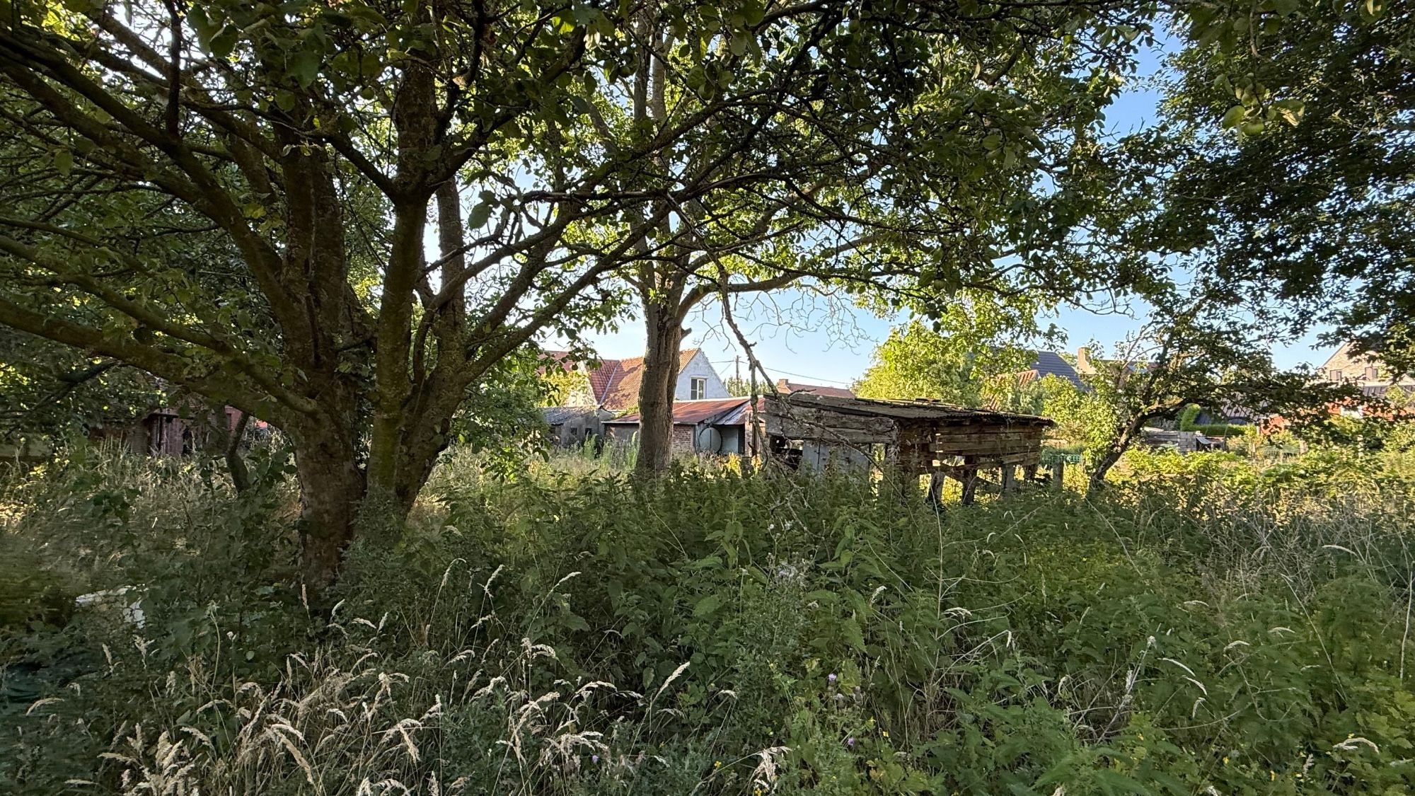 GOED GELEGEN WONING met LANDELIJK UITZICHT op 1789 M² foto 7