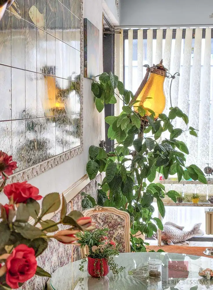 Huis te koop foto 13