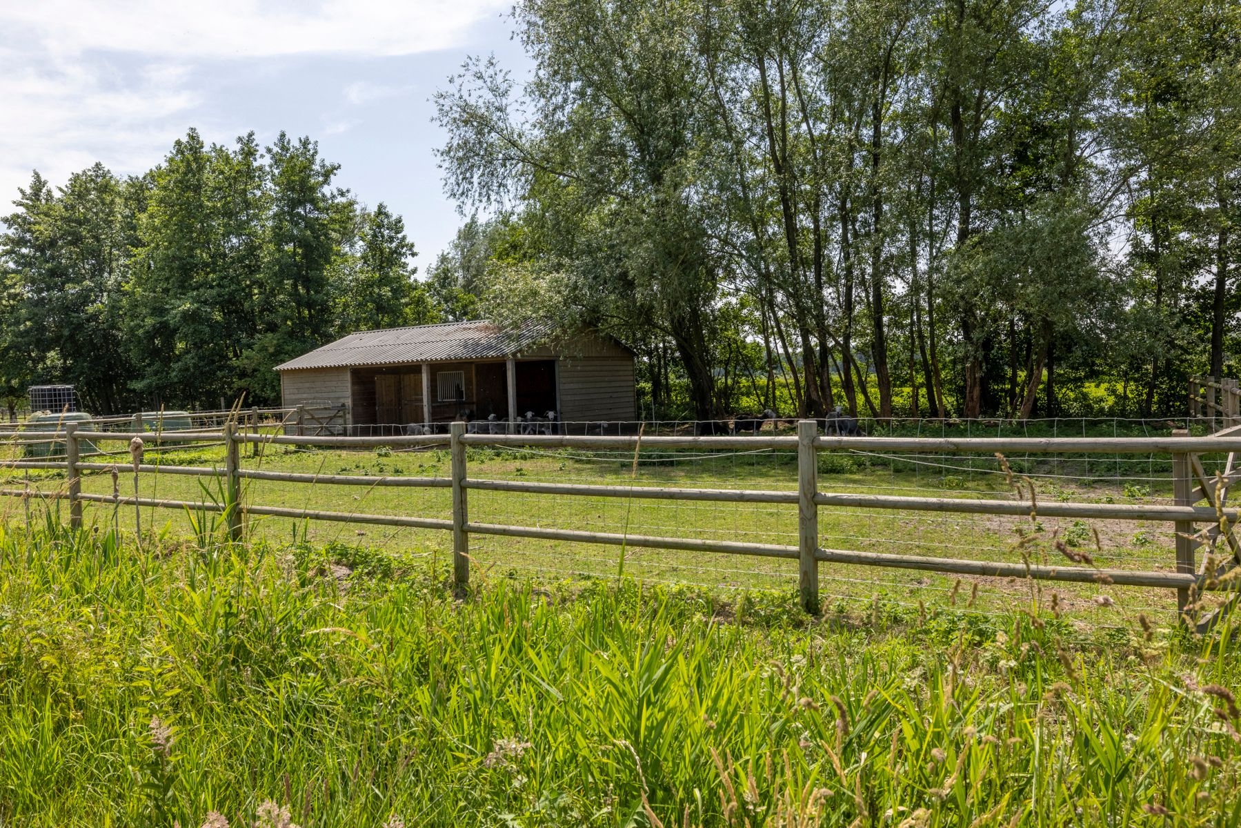 Woning met 3 slaapkamers en 7000m² weide! foto 26