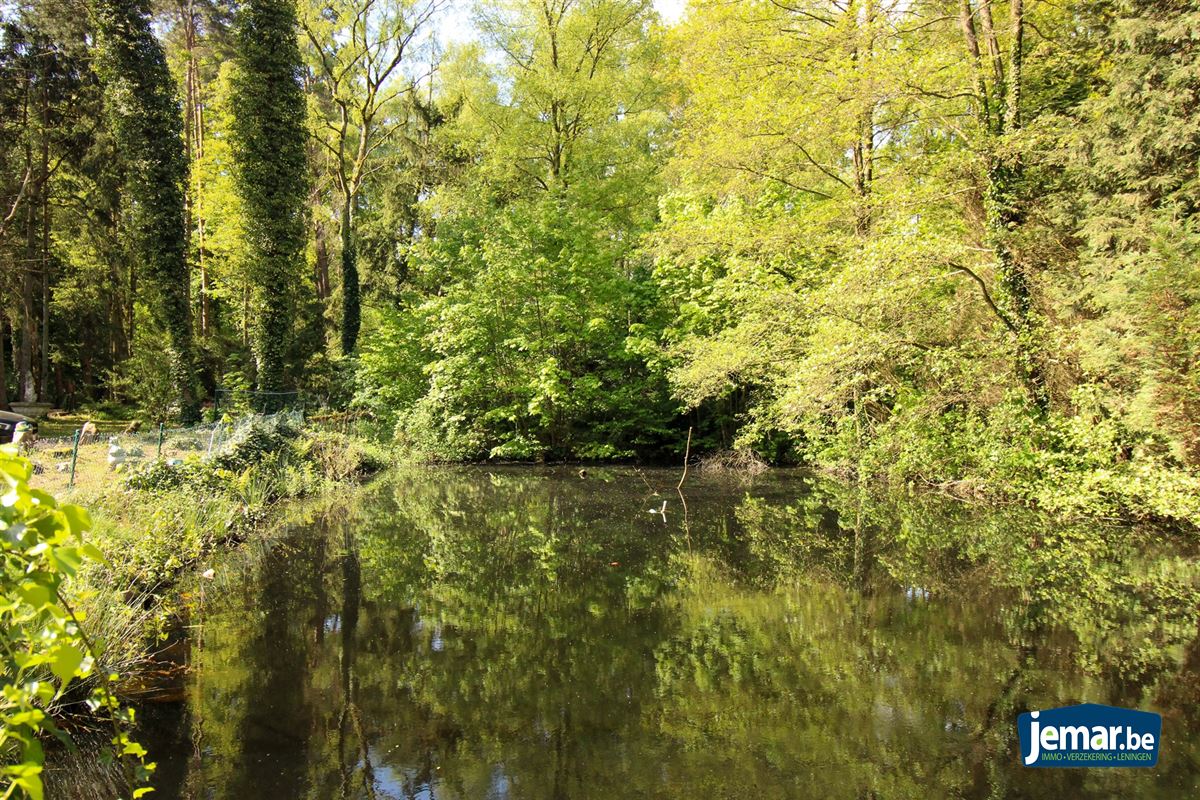 Uniek eigendom te koop in bosrijk gebeid te Lanaken! foto 29