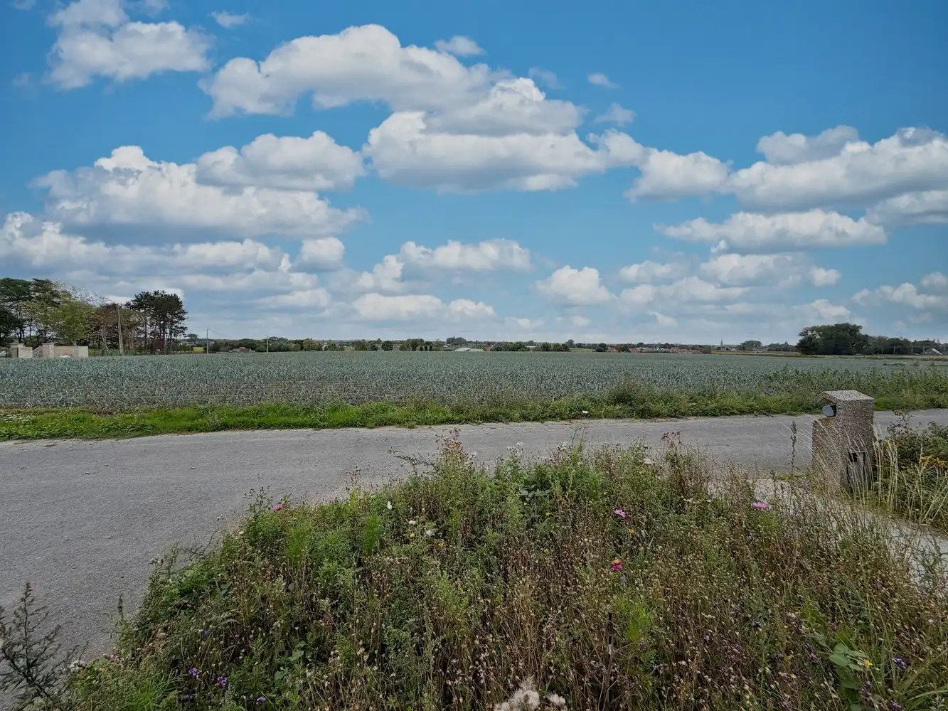 Unieke gezinswoning  op 1608m² met landelijk verzicht foto 23