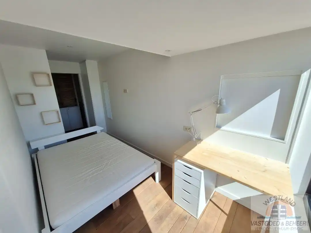 Prachtig appartement met zicht op de duinen foto 12