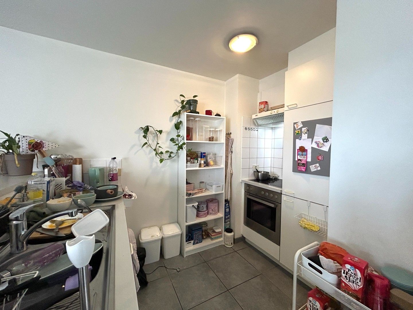 Instapklaar 1-slaapkamerappartement binnen de ring van Tielt! foto 5