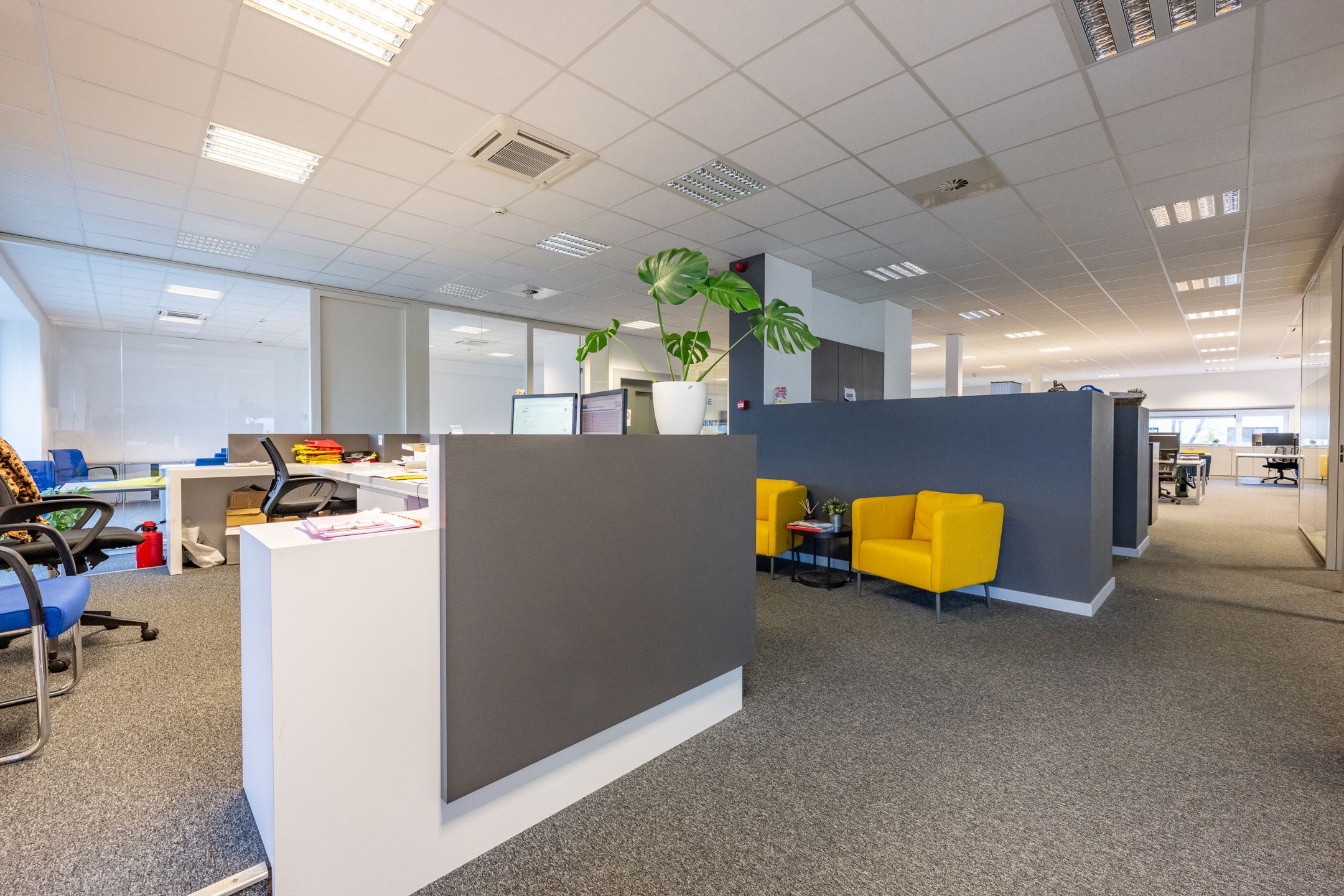 KANTOOR TE HUUR OP UITSTEKENDE LIGGING IN KAPELLEN – STARRENHOFLAAN 44 foto 11