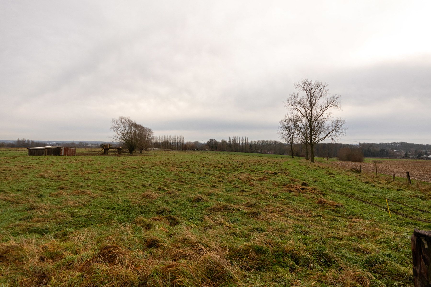 Prachtig perceel bouwgrond voor open bebouwing (14a94ca) foto 6