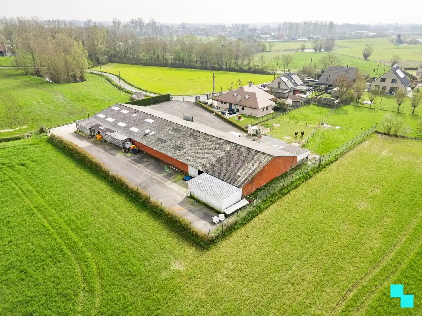 Ruime woning met loods in groene omgeving - Oekene foto 31