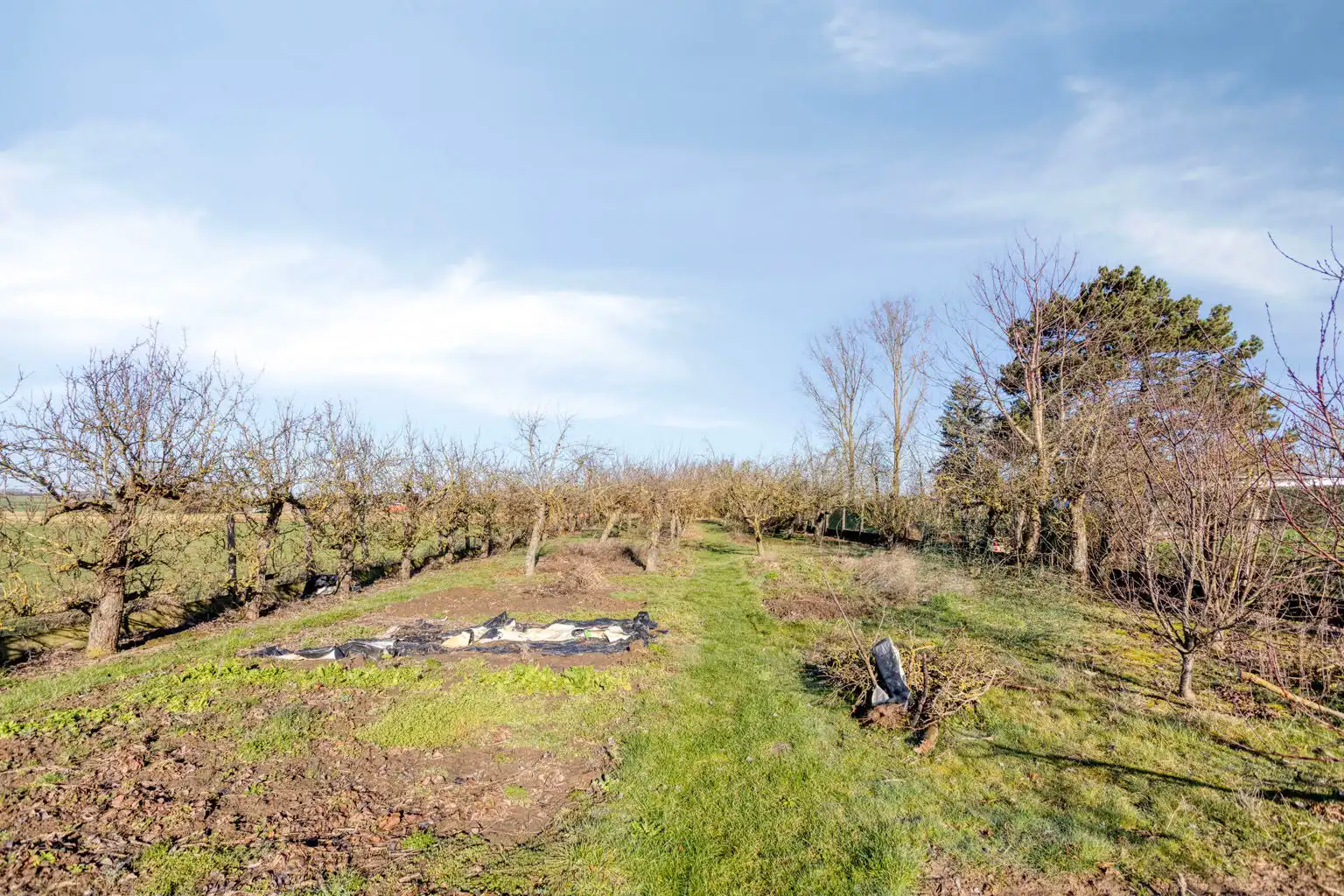 Bungalow op een unieke locatie foto 27