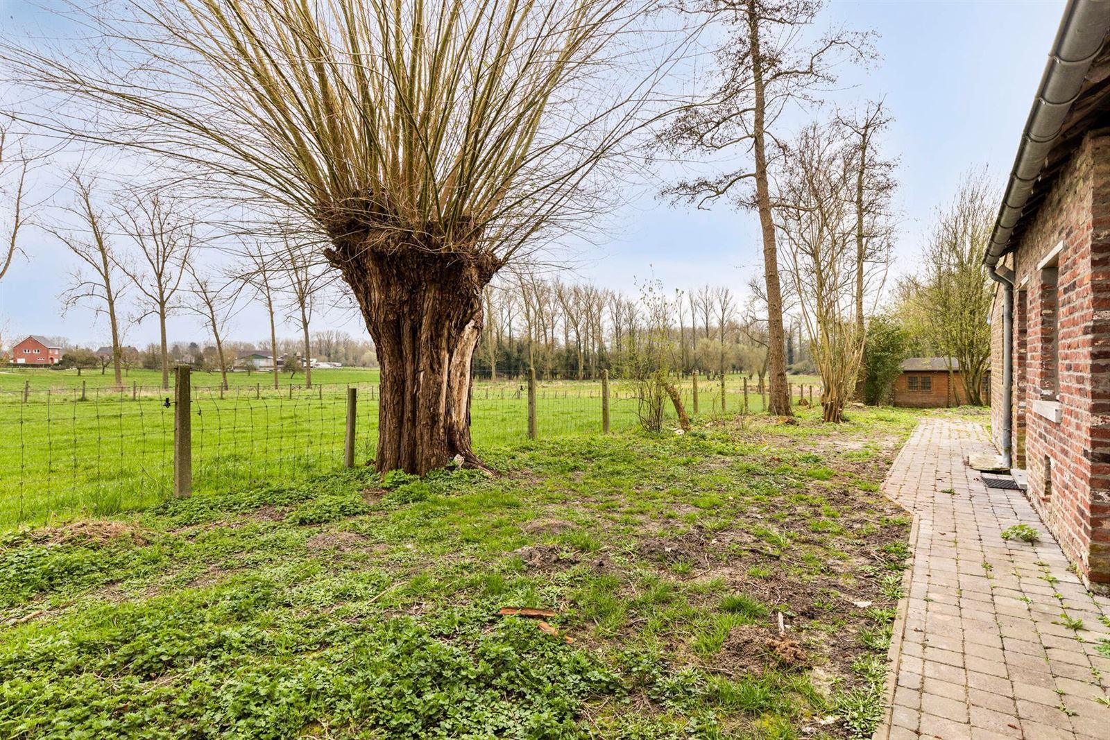 Renovatieproject in prachtige groene omgeving ! foto 21