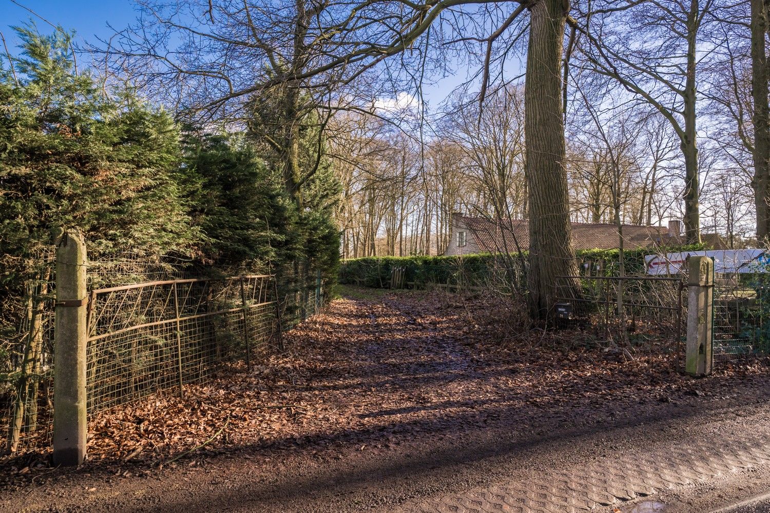 Exclusieve bouwgrond aan de Lembeekse Bossen! foto 7
