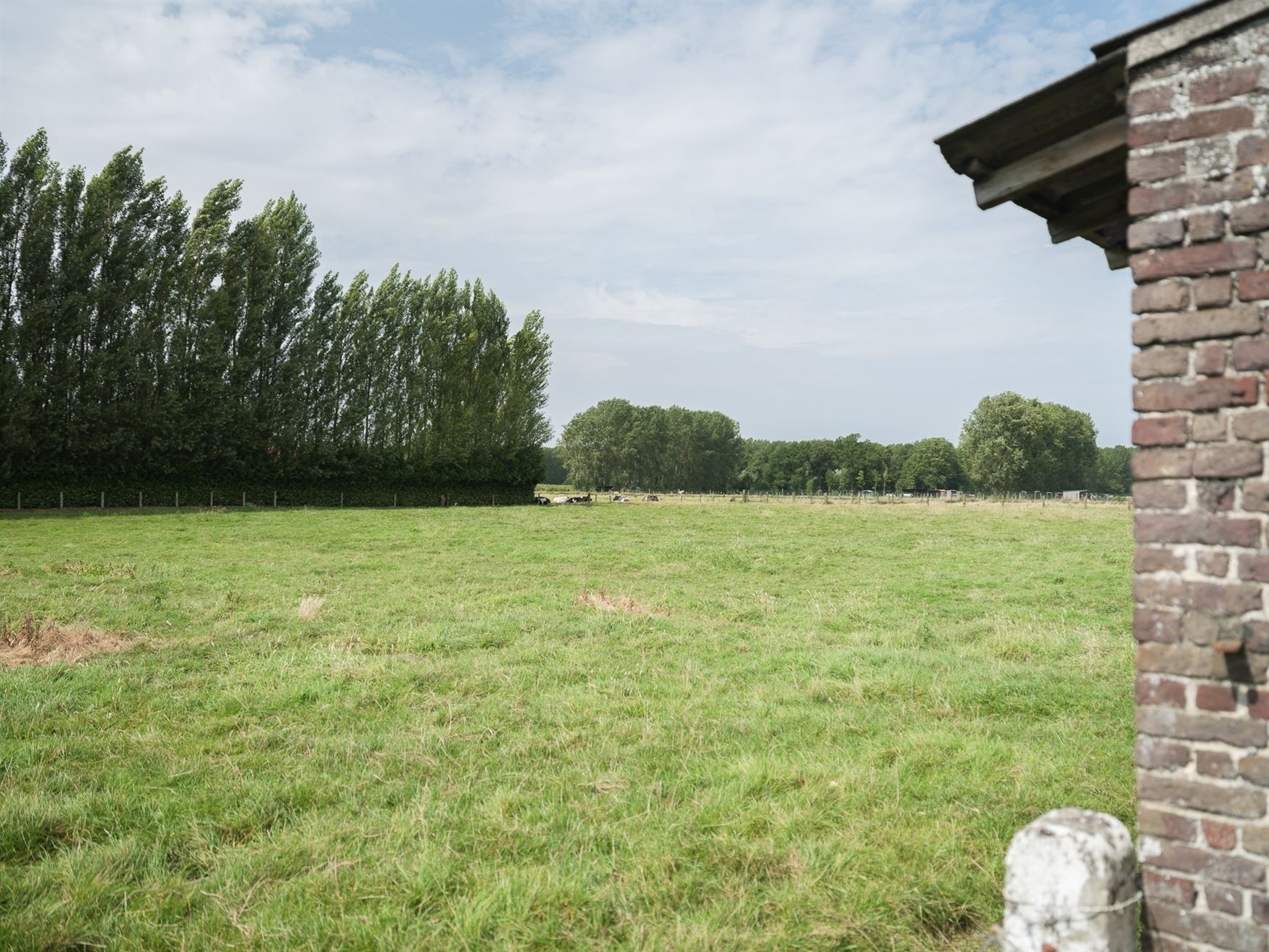 Hoeve met bijgebouwen op riant perceel foto 9