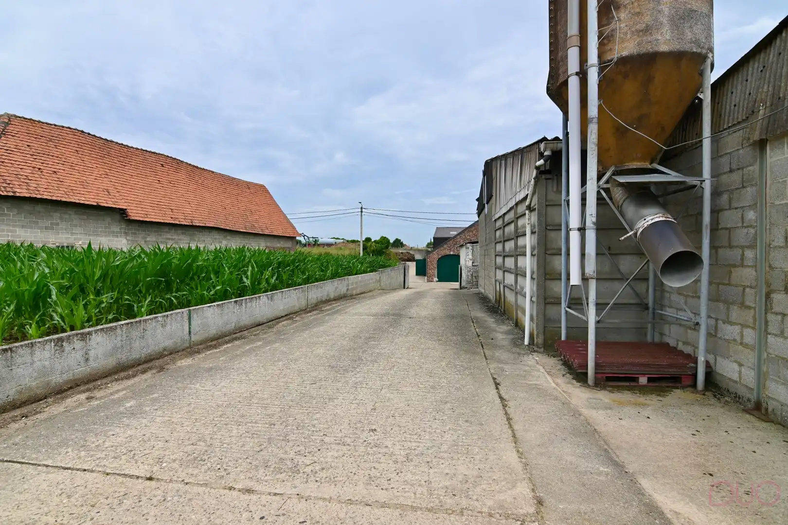 Hoevewoning op een perceel van 69a20ca met een veestal van 391m2 en een open schuur van 355m2 foto 8