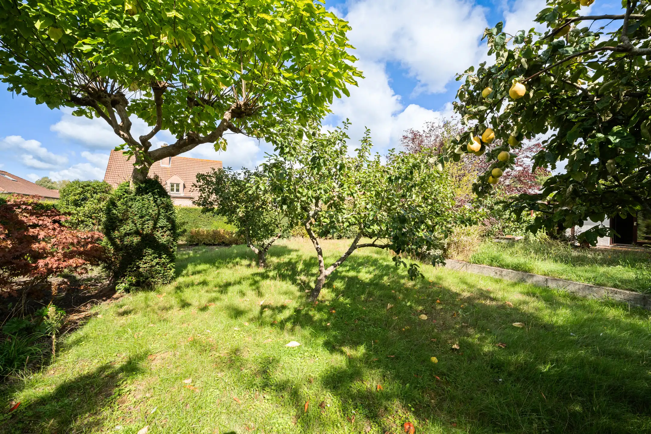 Authentieke bungalow op 1.198 m² bouwgrond  foto 20