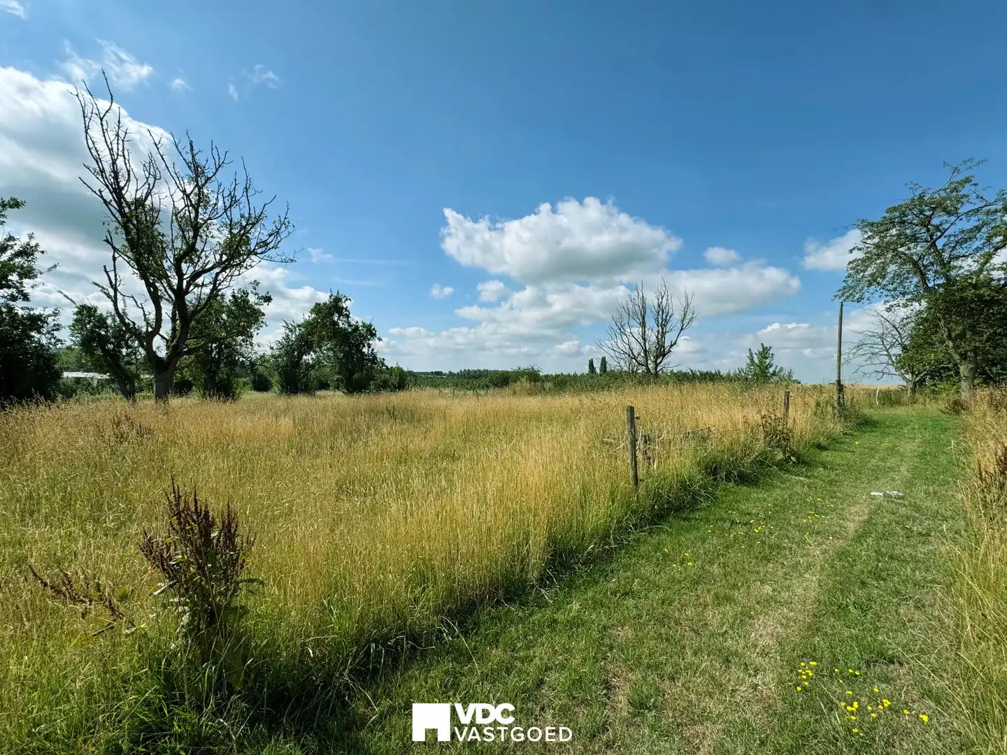 Uitgestrekte paardenweide van 68a 17ca – volledig omheind en klaar voor gebruik foto 4