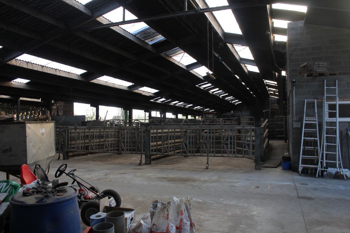 Hoeve met ruime stallen te koop te Zottegem op 4,68 ha foto 7