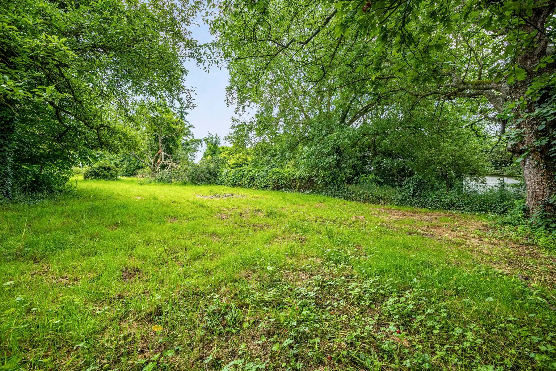Rustig gelegen woning met grote tuin foto 5