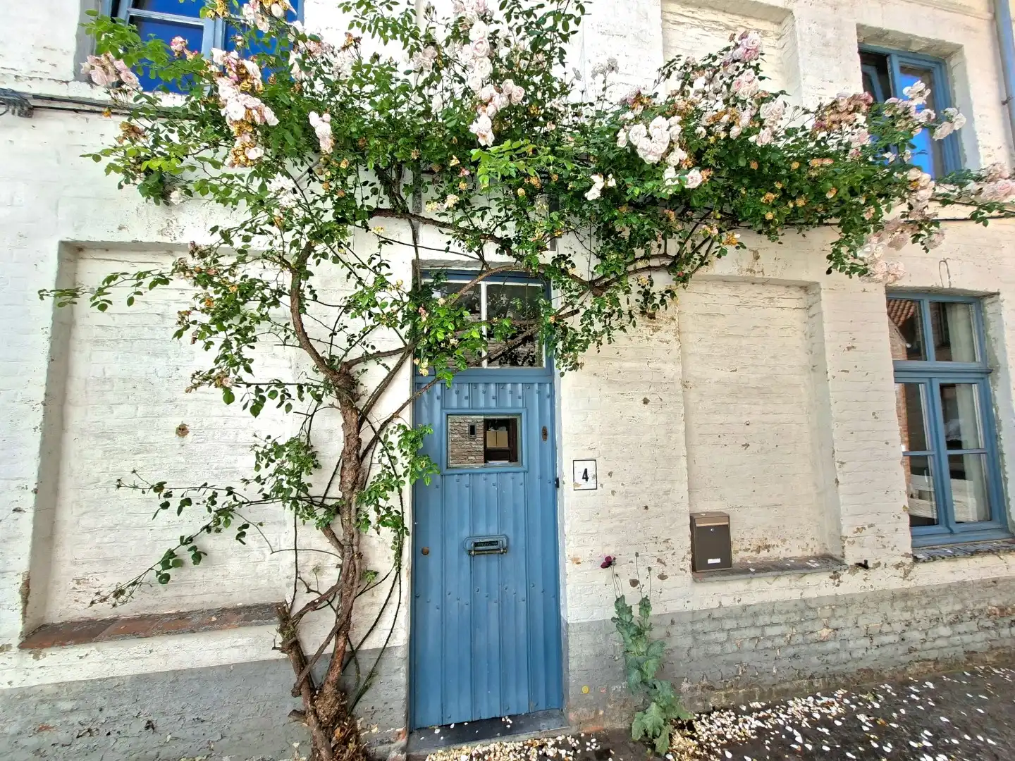 Rustig gelegen stadswoning  foto 9
