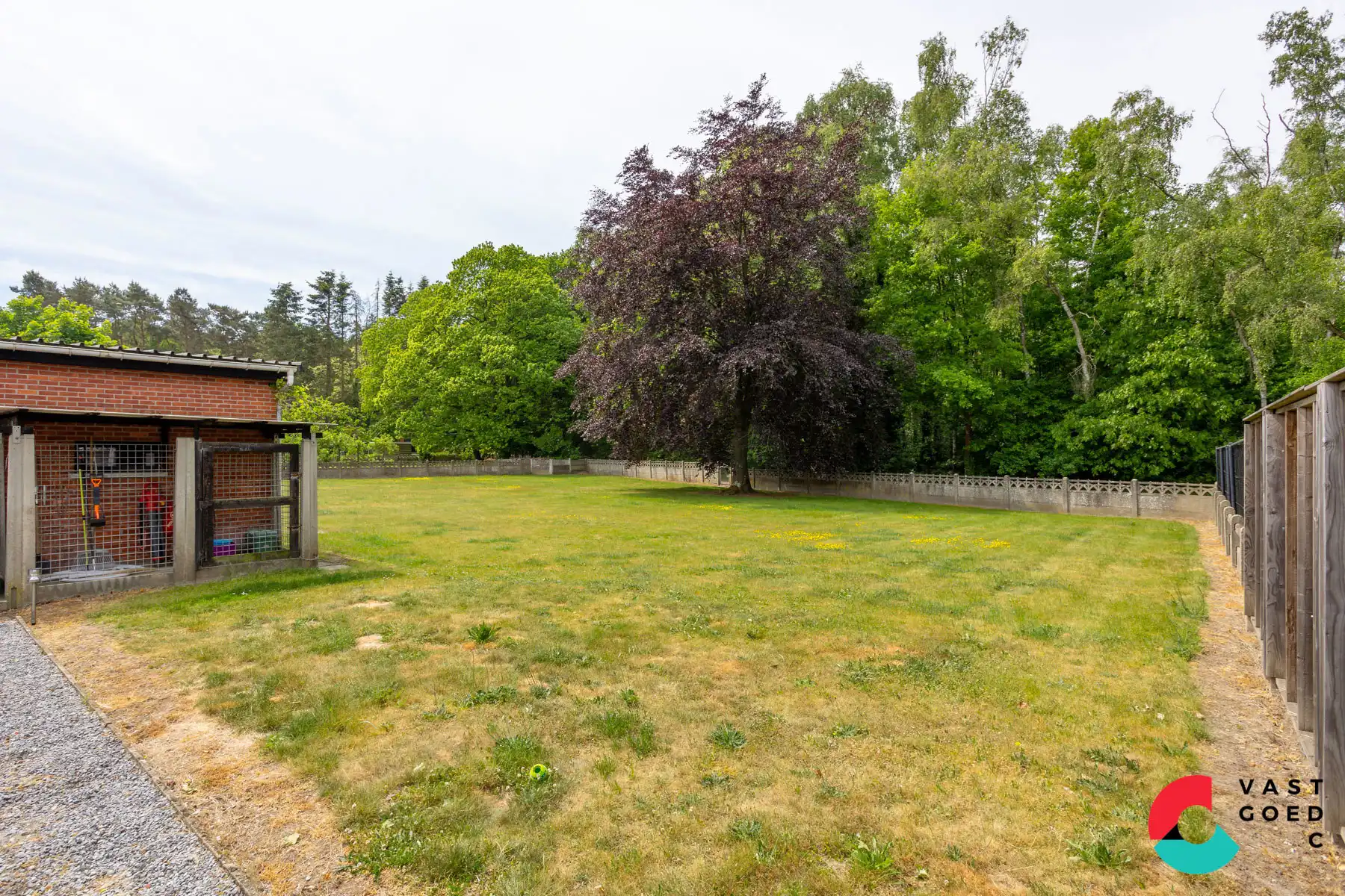 Huis te koop foto 22