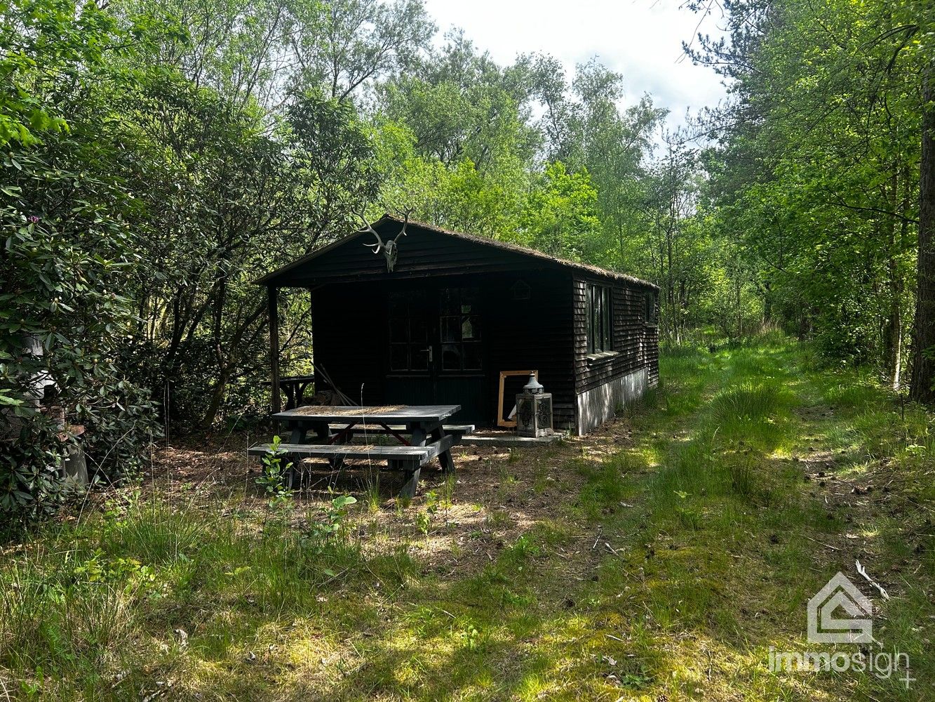 Uniek stukje natuurgebied van 1.470 m² gelegen te Hamont-Achel! foto 2