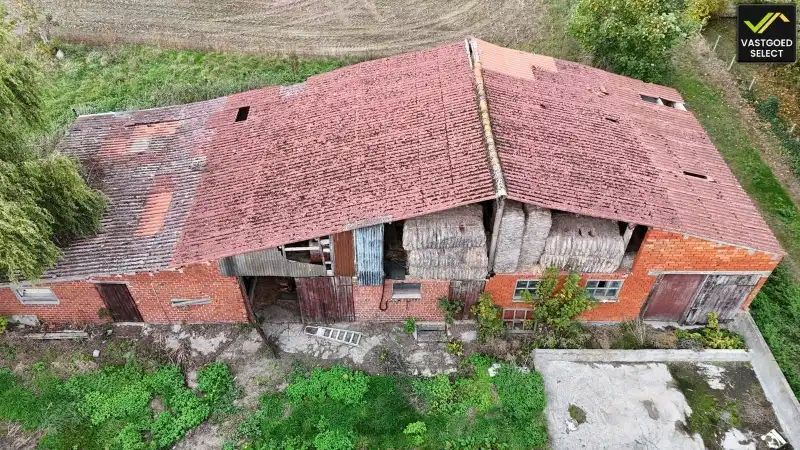 Te koop: Hoeve op 15.514 m² grond met potentieel – Moerstraat 14, Eeklo (nabij Sint-Laureins) foto 8