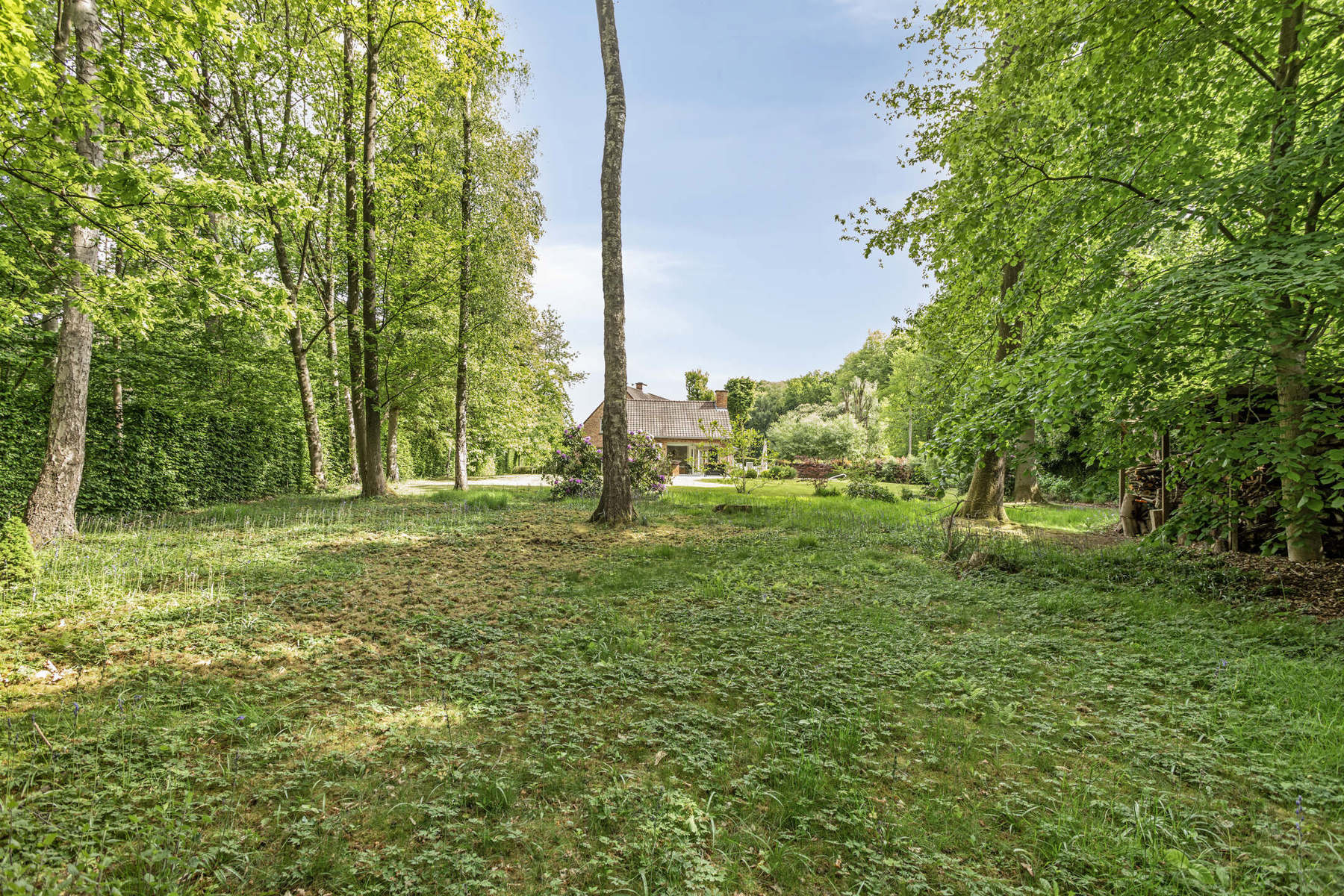  Landelijke villa met moderne uitbouw zwembad en sauna foto 16