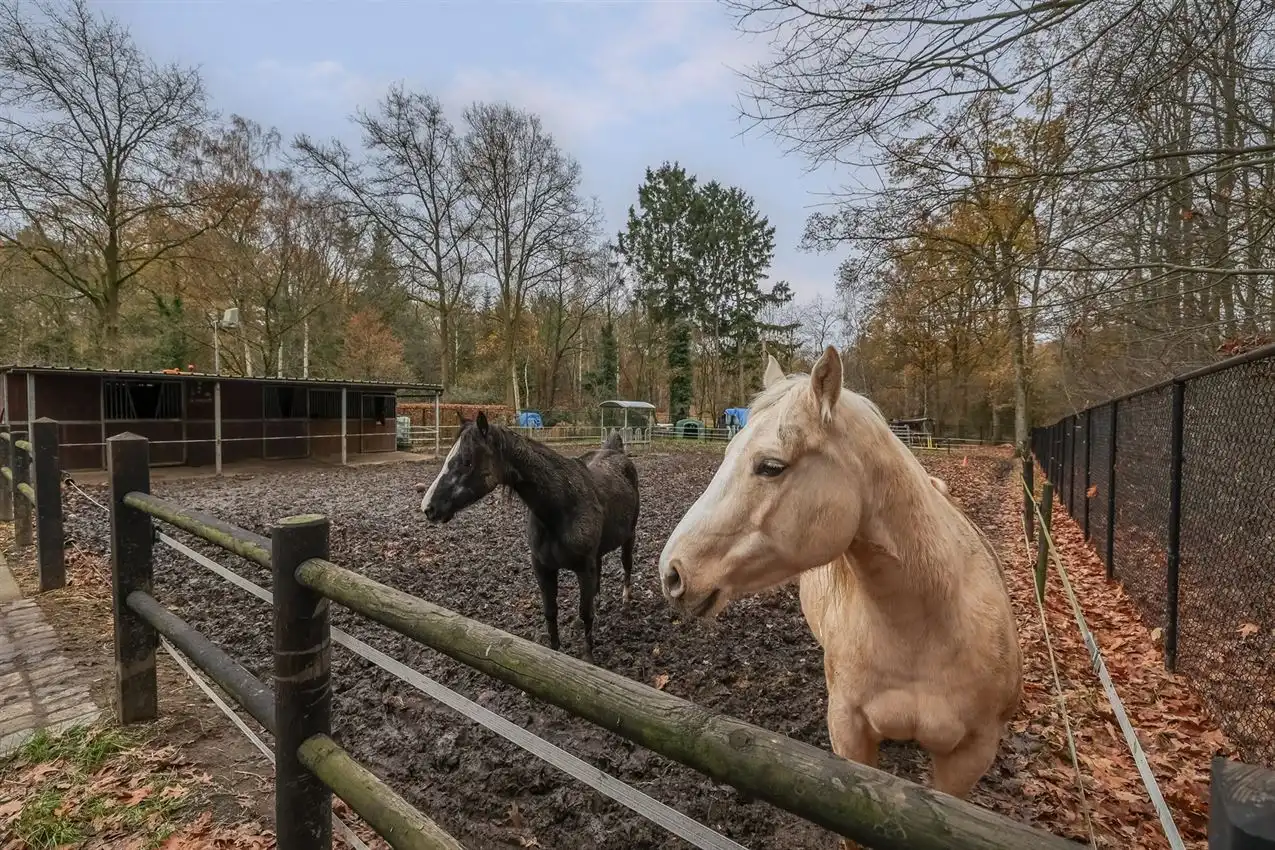 Toffe woning met weiland van meer dan 1Ha foto 36