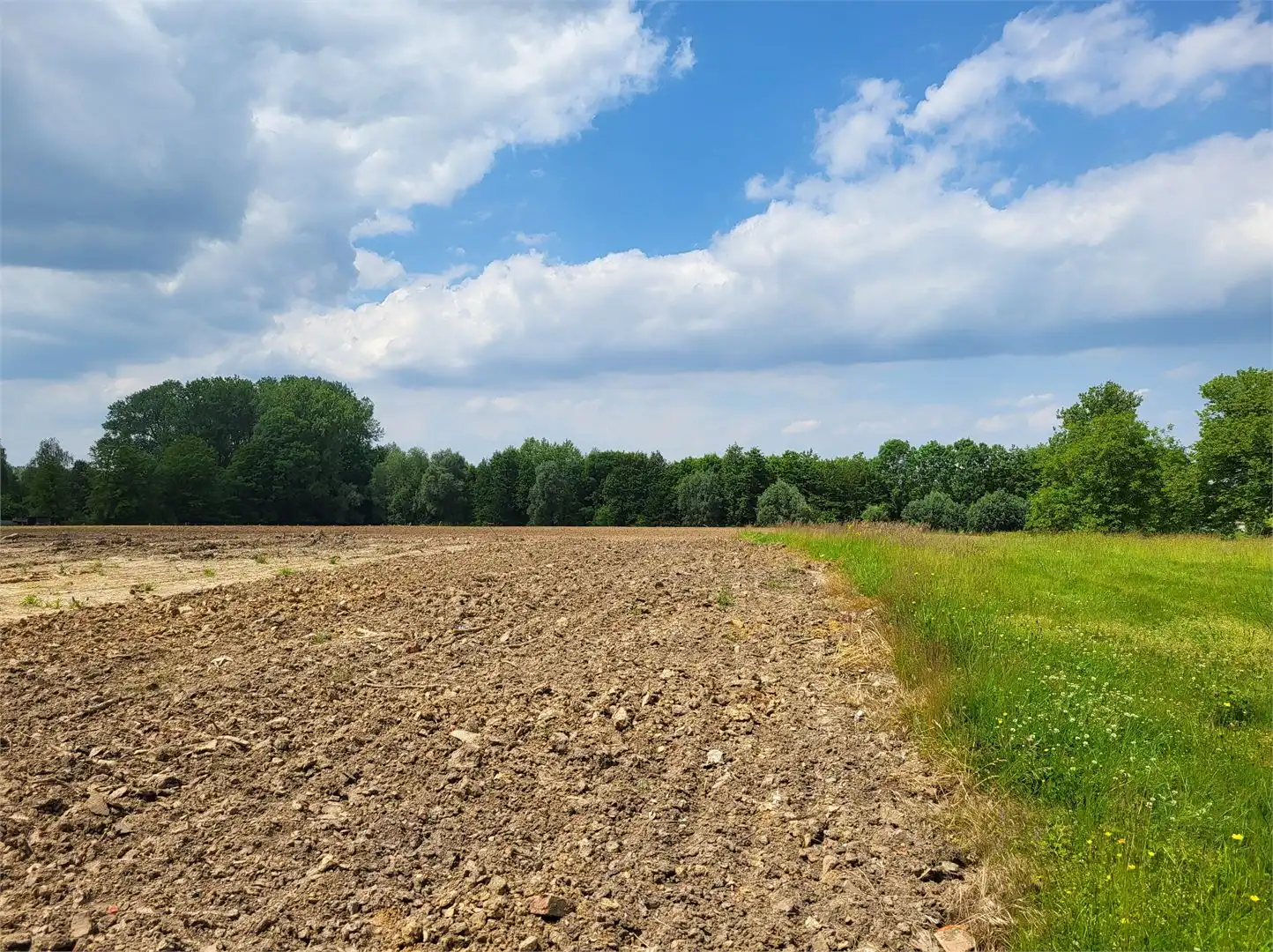 bouwgrond voor halfopen bebouwing op 435 gelegen in het hartje van de Vlaamse Ardennen met panoramisch uitzicht op de velden! foto 3