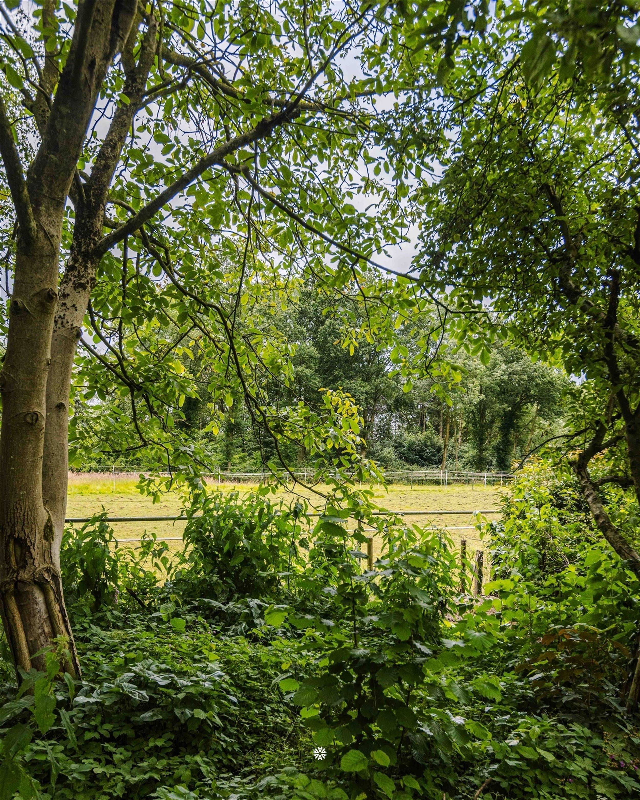 Riante en unieke woning met landelijk uitzicht te Belsele foto 5