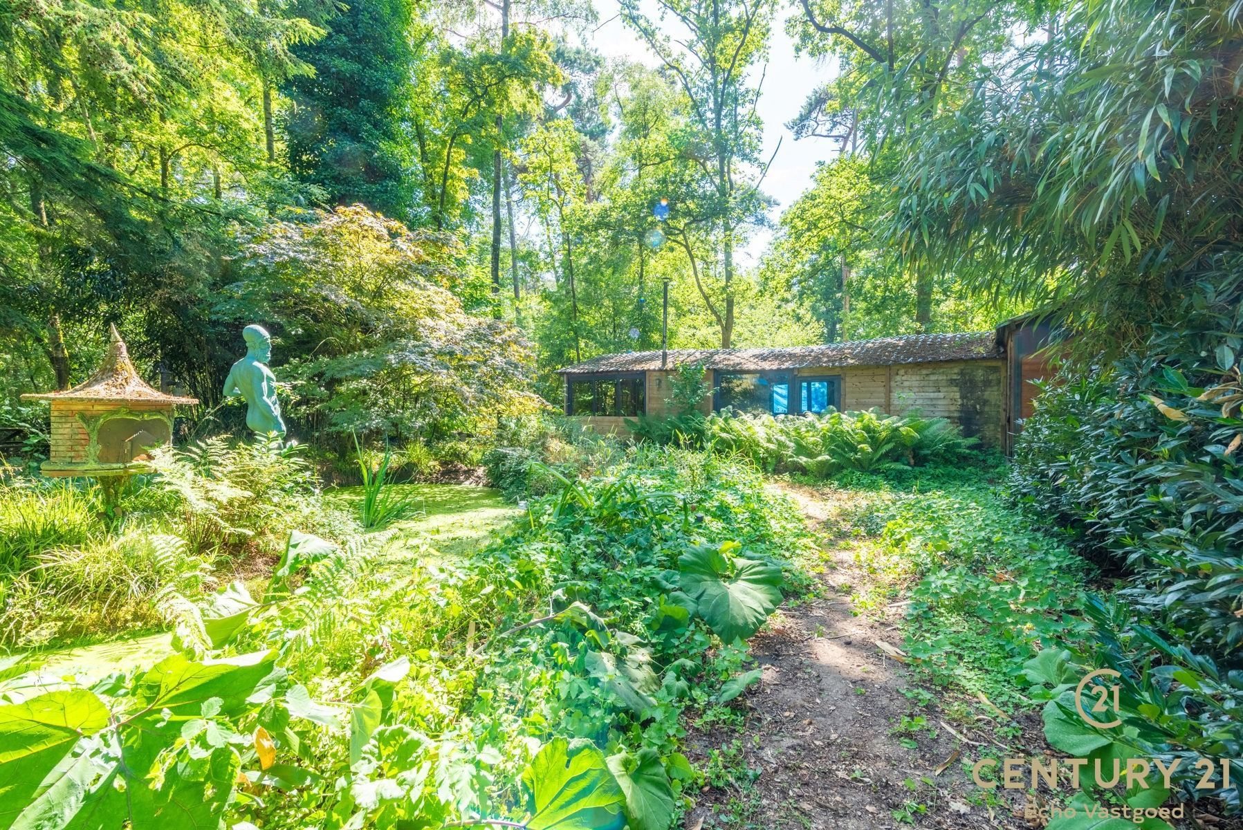 Volledig te renoveren vakantiechalet op een royaal perceel foto 4