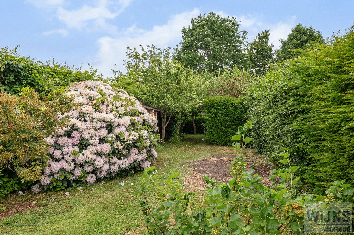 Charmante HOB met prachtige tuin foto 15