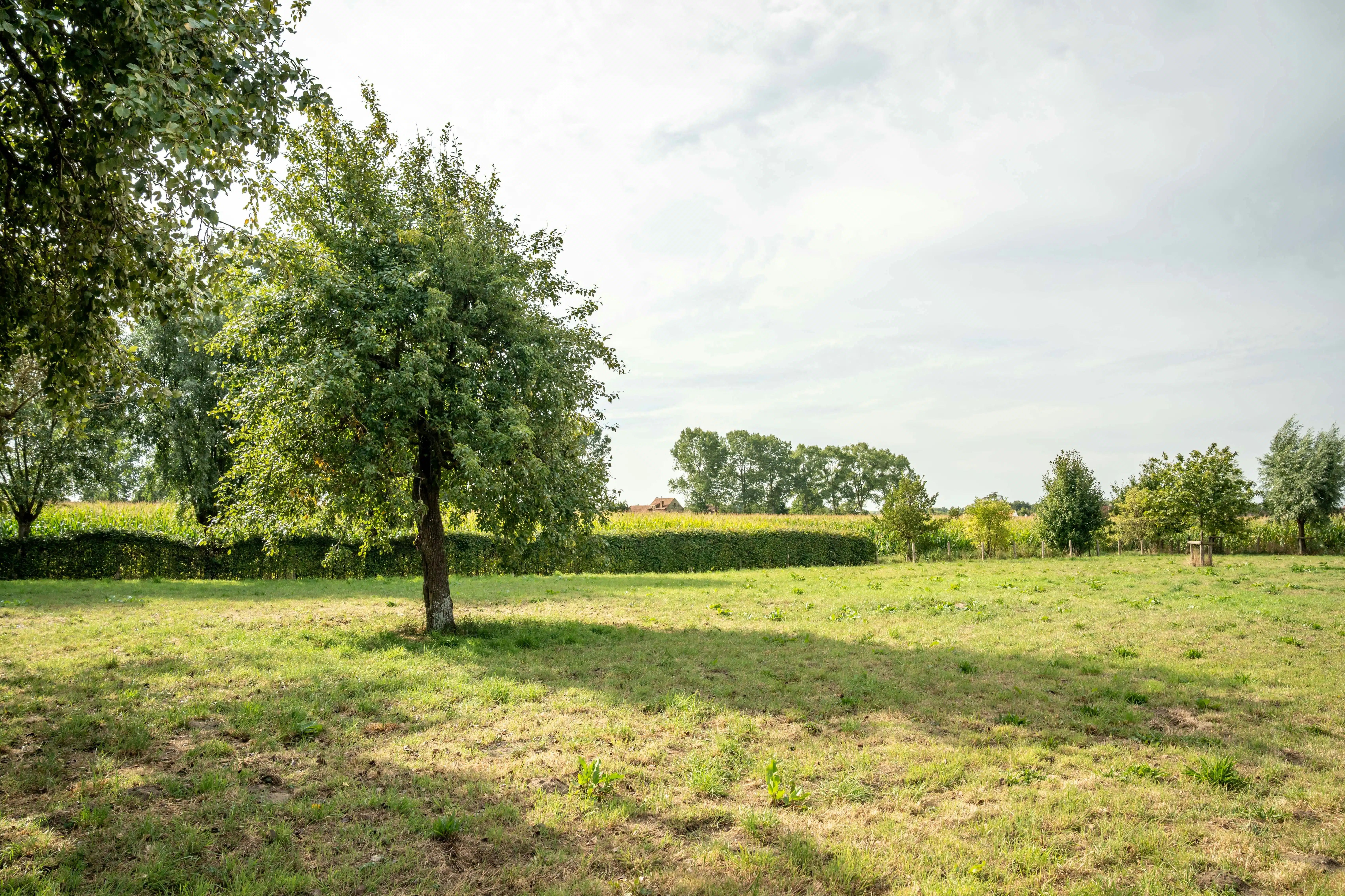 Idyllisch gelegen nieuwbouw huis te Moerkerke (Damme) foto 3