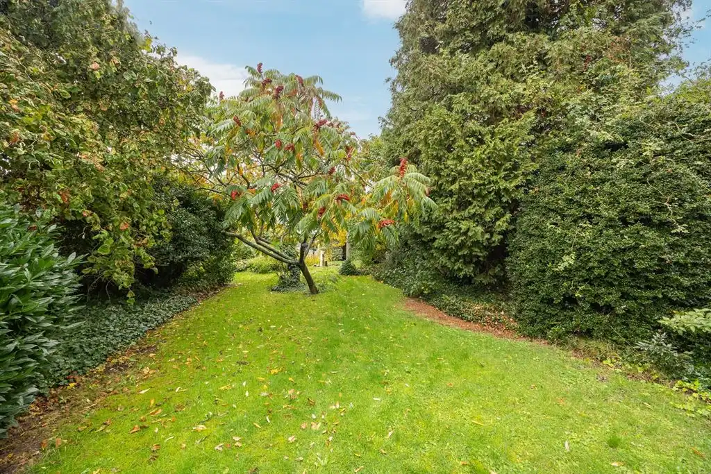 Charmante halfopen woning met grote tuin te Turnhout foto 9