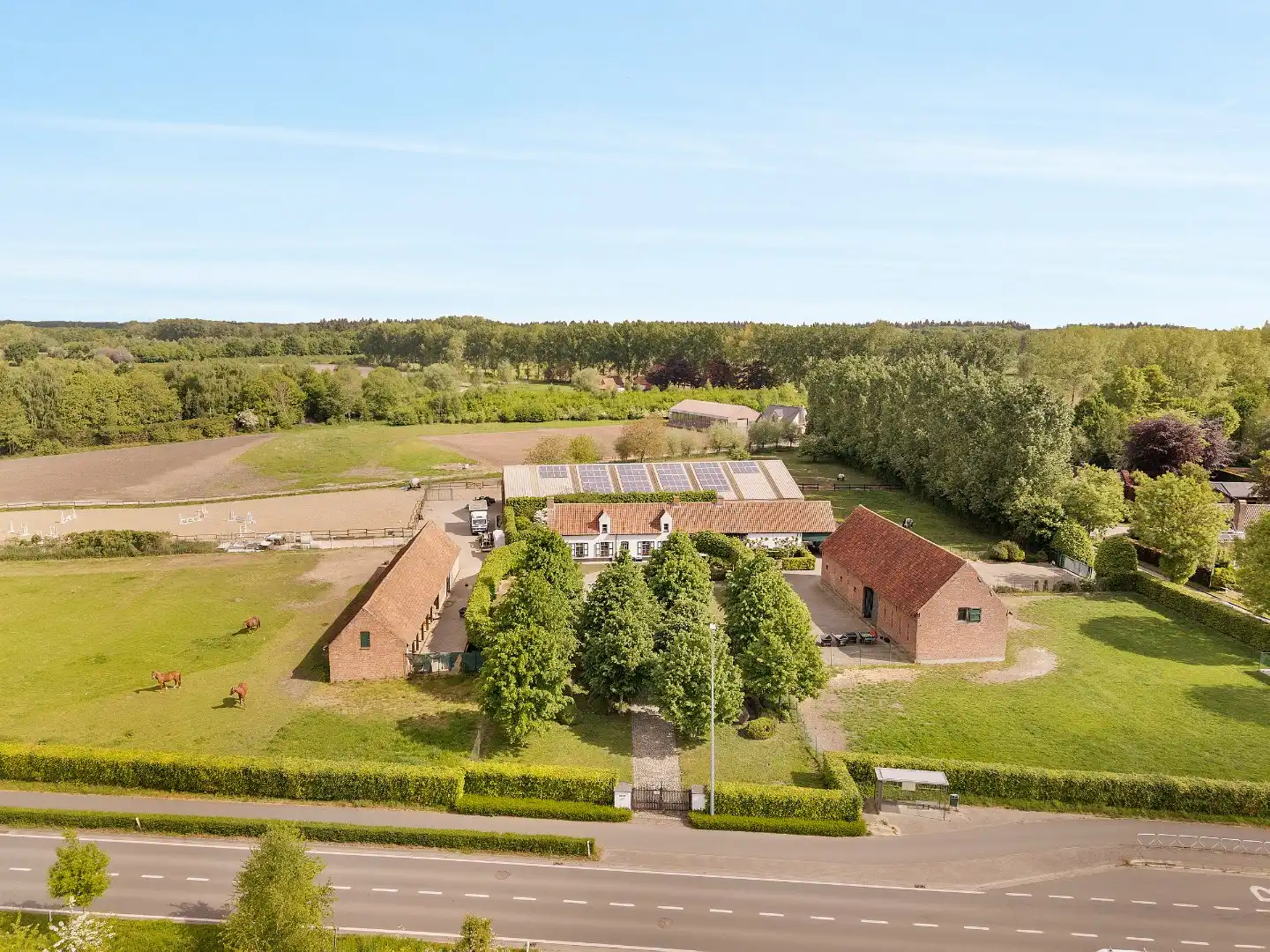 Uitzonderlijke hoeve met binnenpiste en paardenstallen op 1,88 hectare foto 7