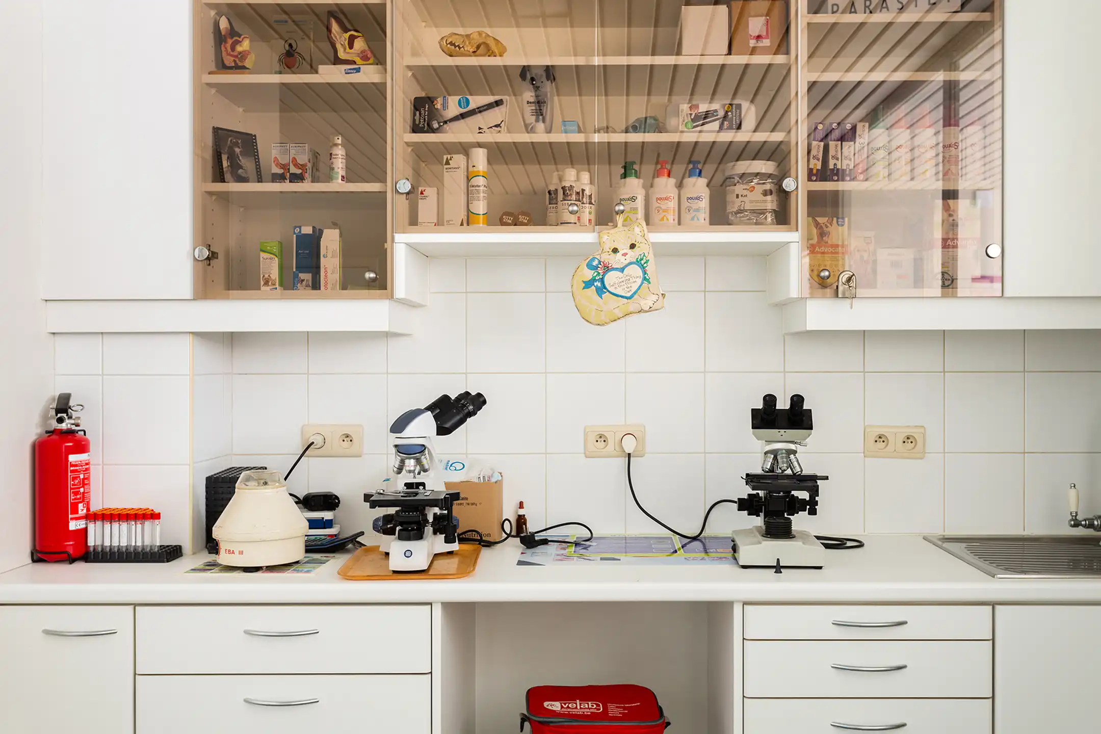 Ruim handelsgelijkvloers op toplocatie te Hove centrum foto 10