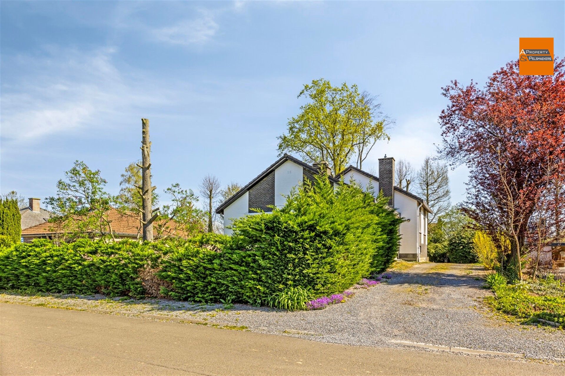 Ruime gerenoveerde villa met 4 slaapkmaers in residentiele wijk foto 5
