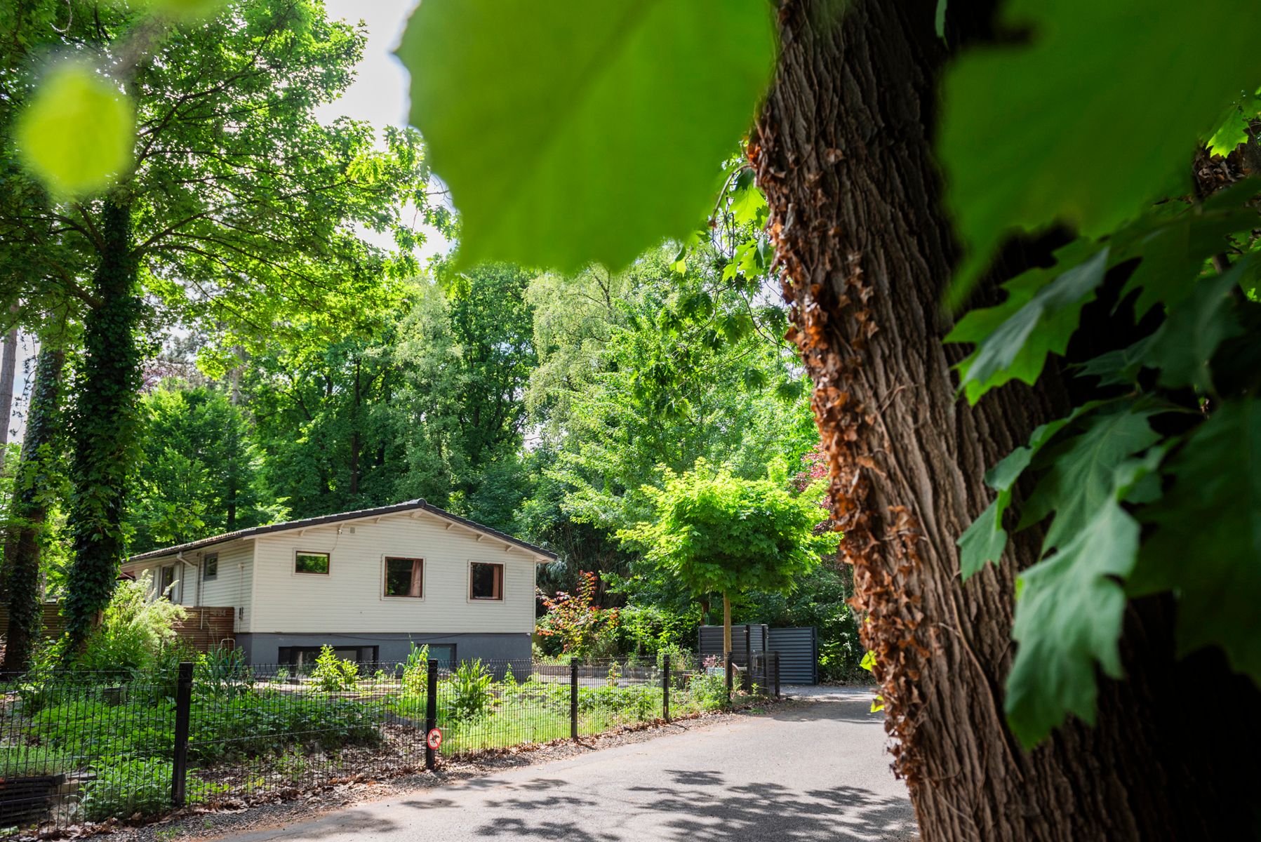 Hoofdfoto van de publicatie: Wonen in het groen: chalet op dubbel perceel in Waasmunster