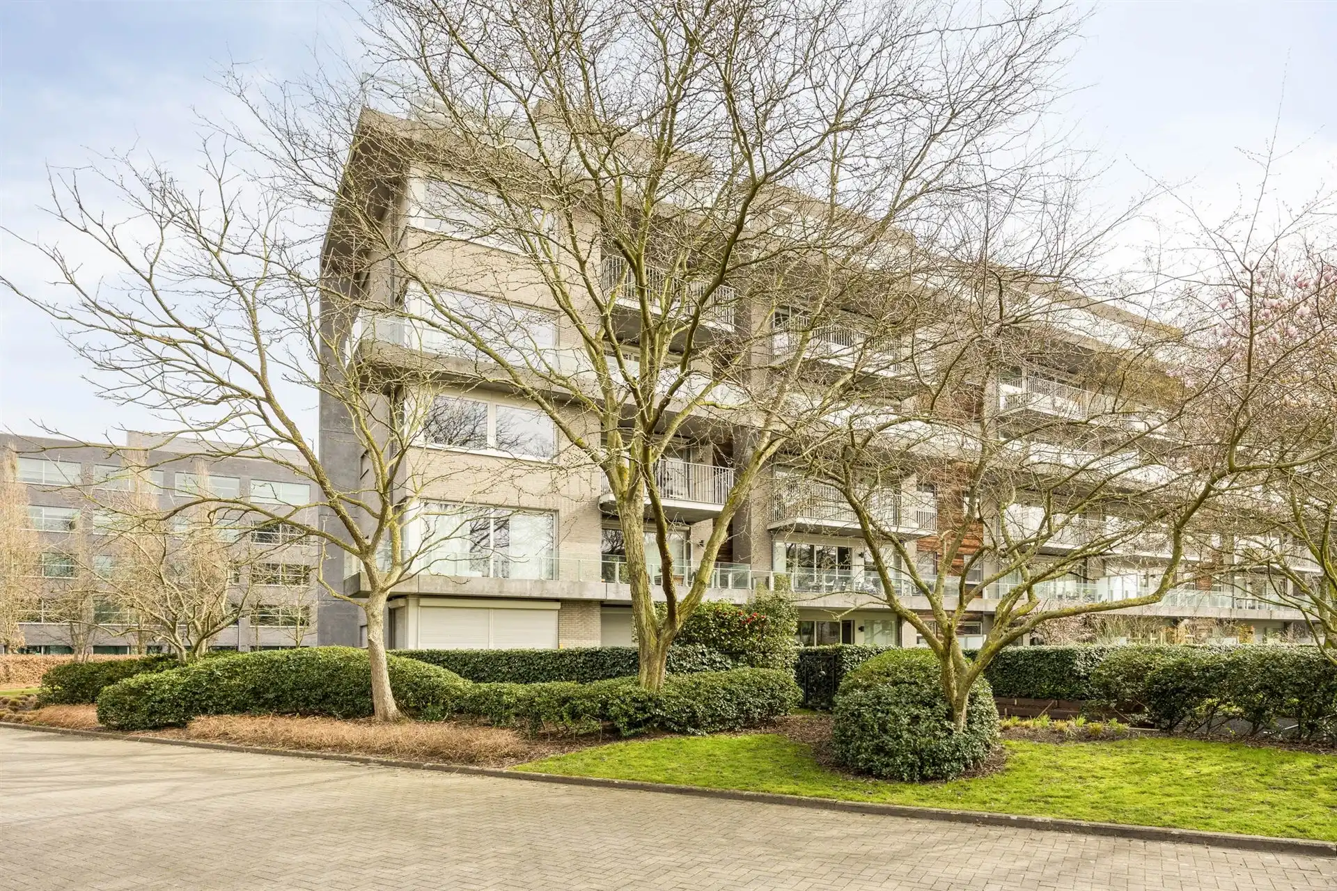 Appartement met 3 slaapkamers te koop in Berchem!  foto 3