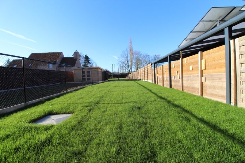 Zeer energiezuinige woning in Dadizele foto 7