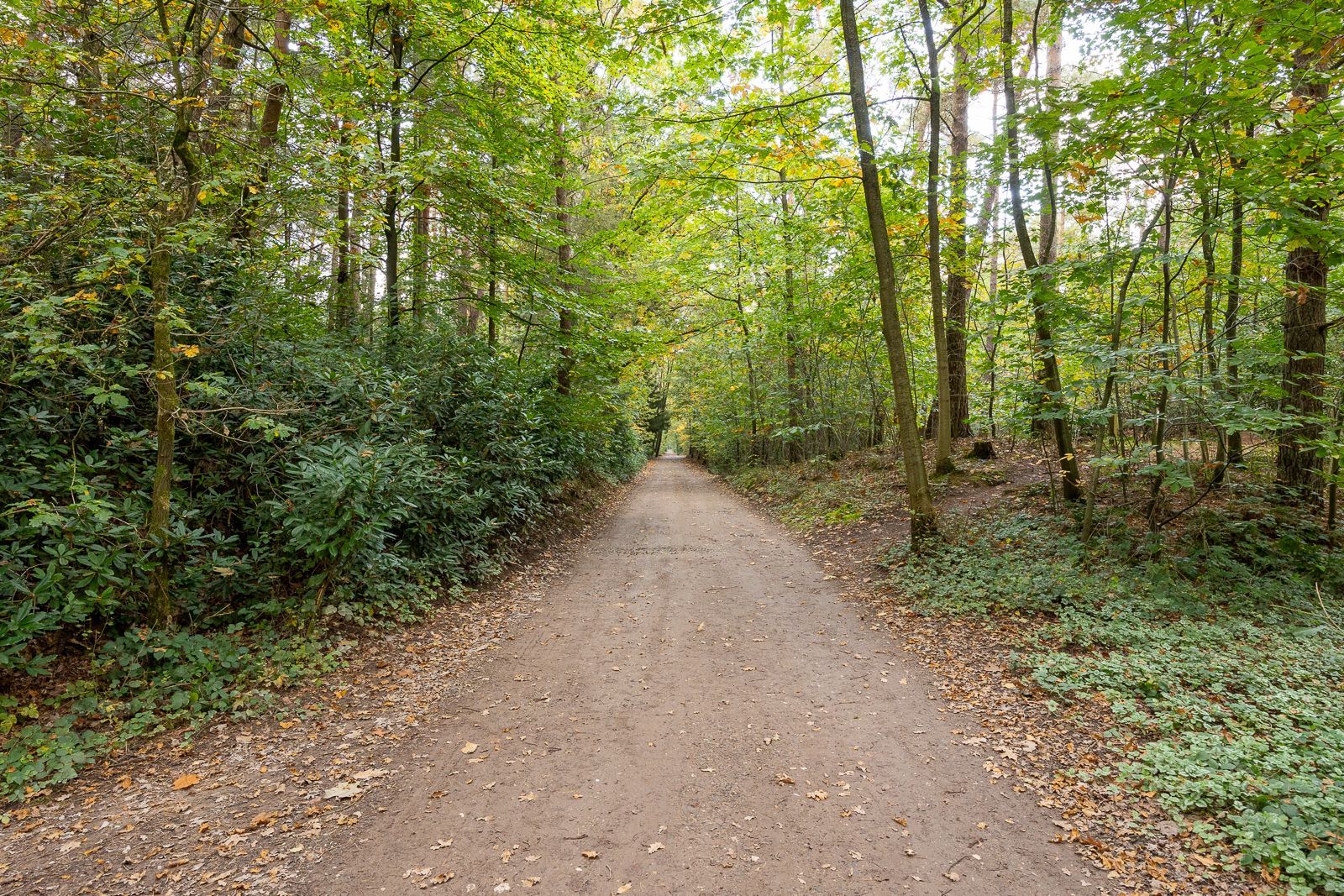 Unieke bouwgrond van 6.492,10 m² met ideale oriëntatie, rustig gelegen in het groene Wildert-Essen! foto 4