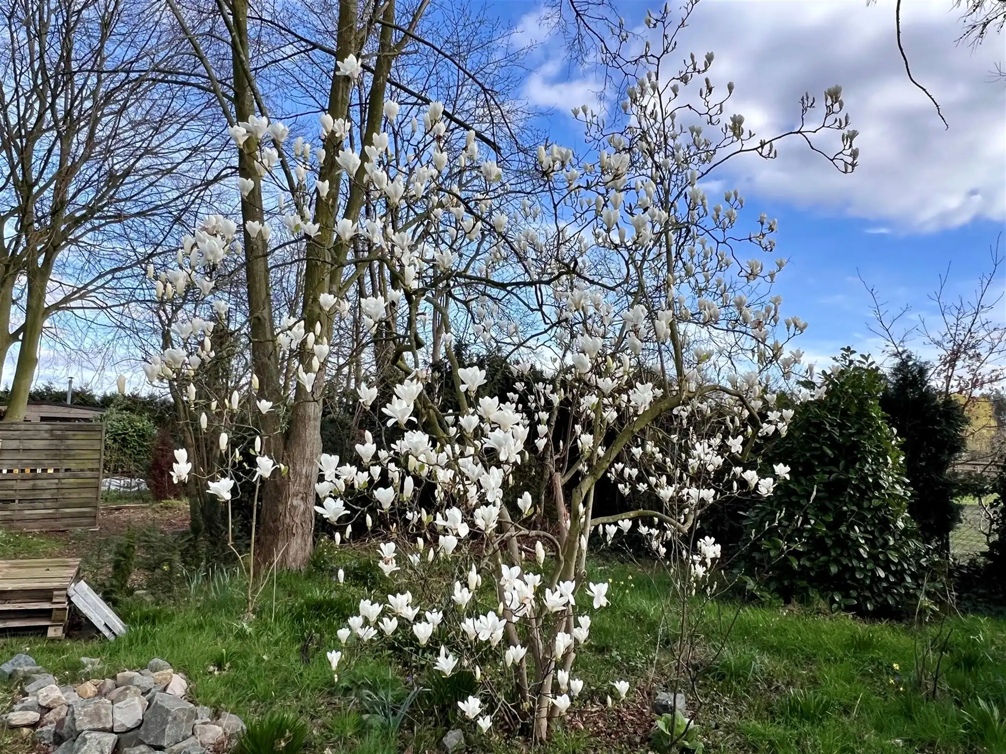 Vakantieverblijf op agrarisch en bebost perceel van 1183 m² foto 8