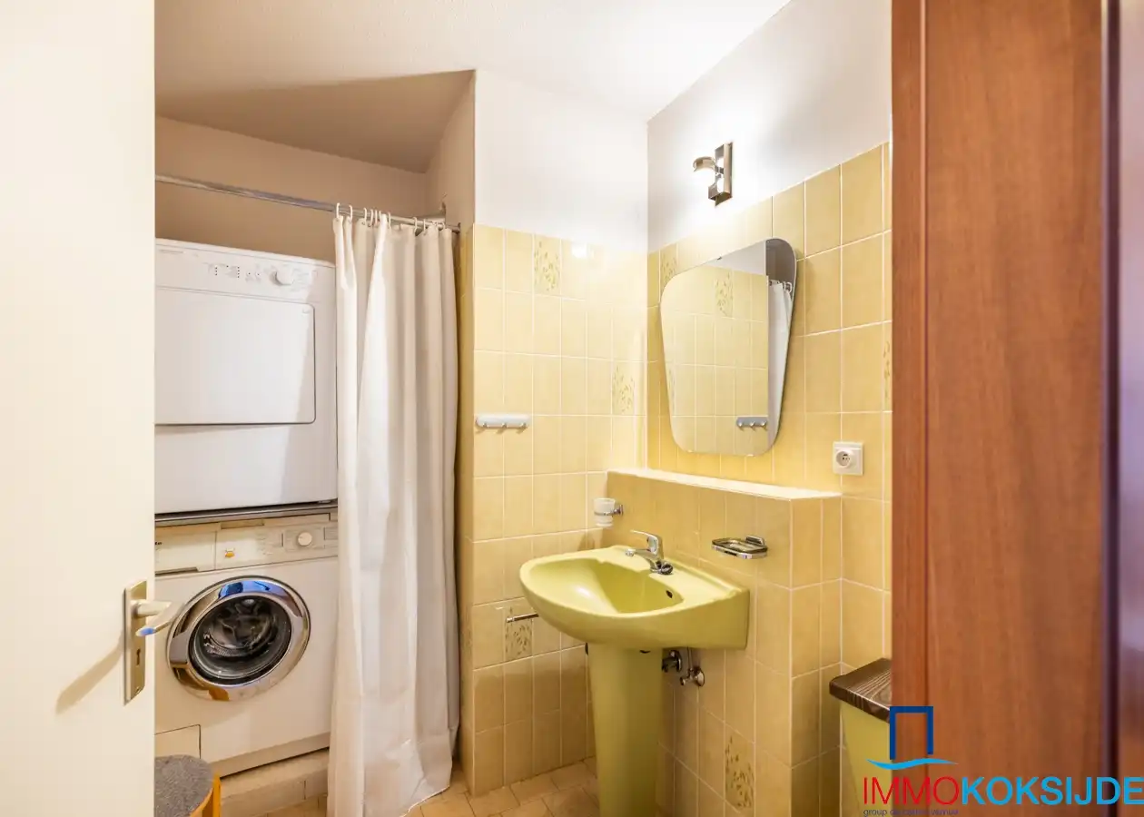 Zandroos I 05.01 Koksijde foto 16