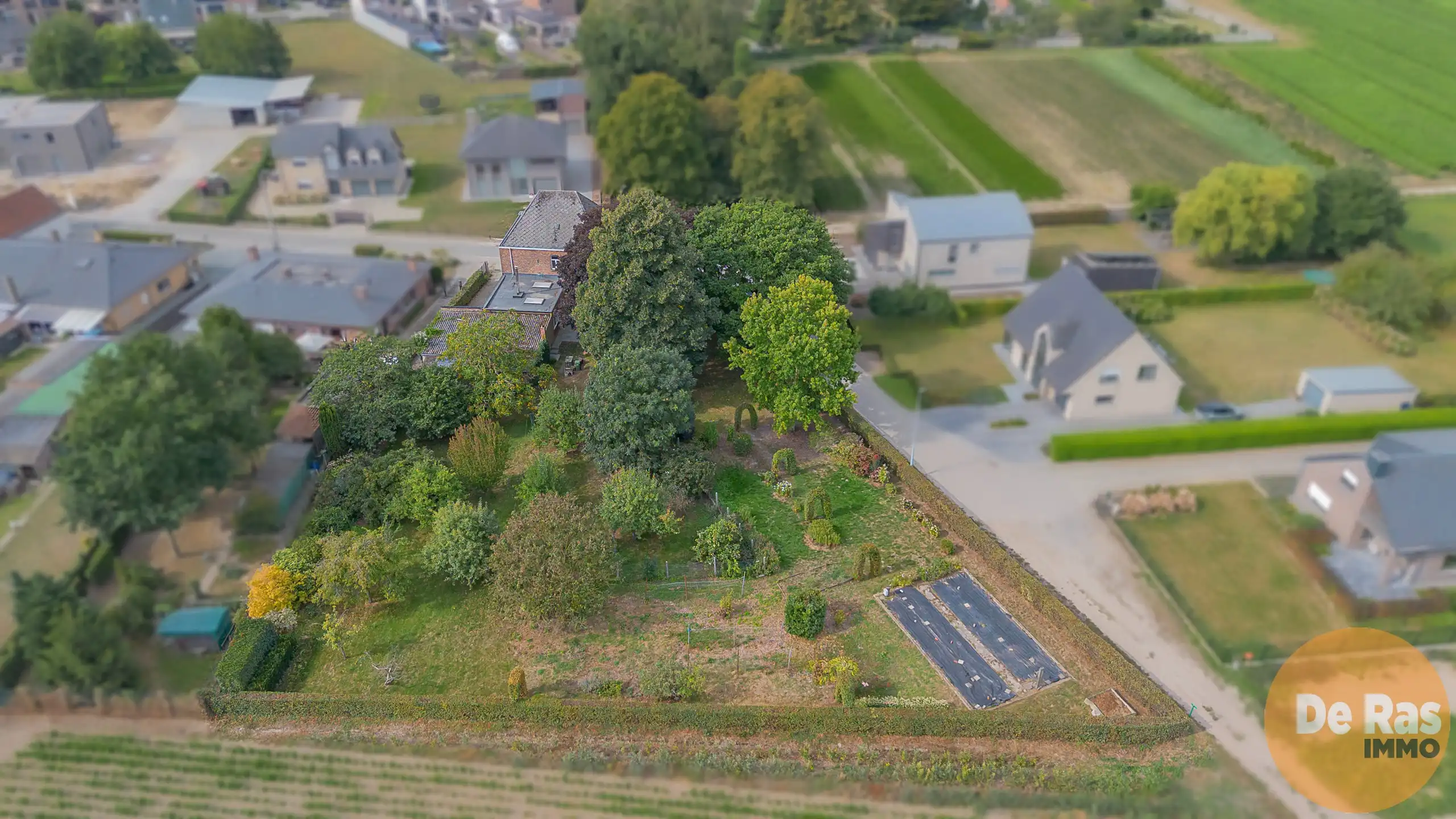 WICHELEN – Karakteristiek burgerhuis op schitterend perceel foto 19